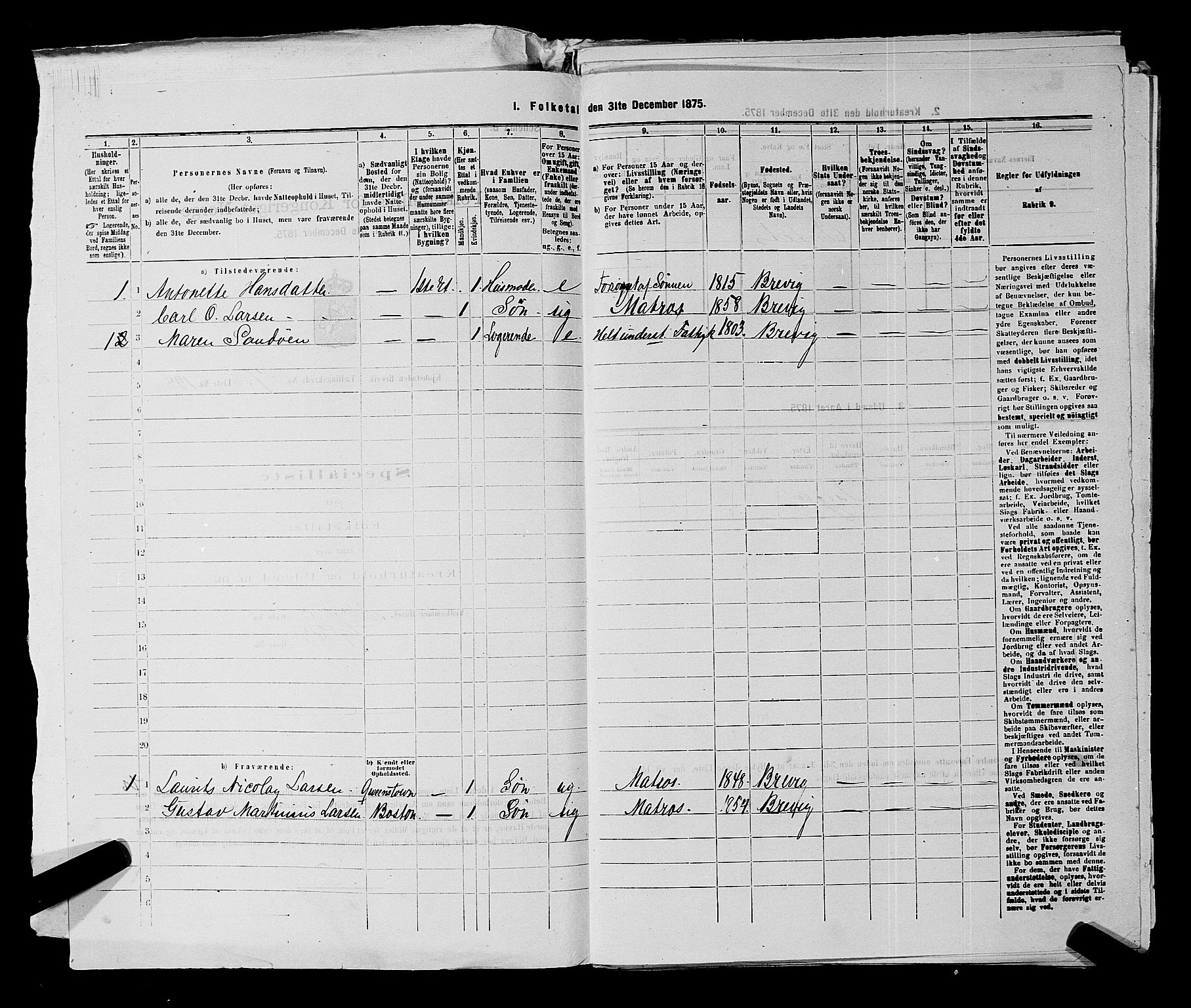 SAKO, 1875 census for 0804P Brevik, 1875, p. 445