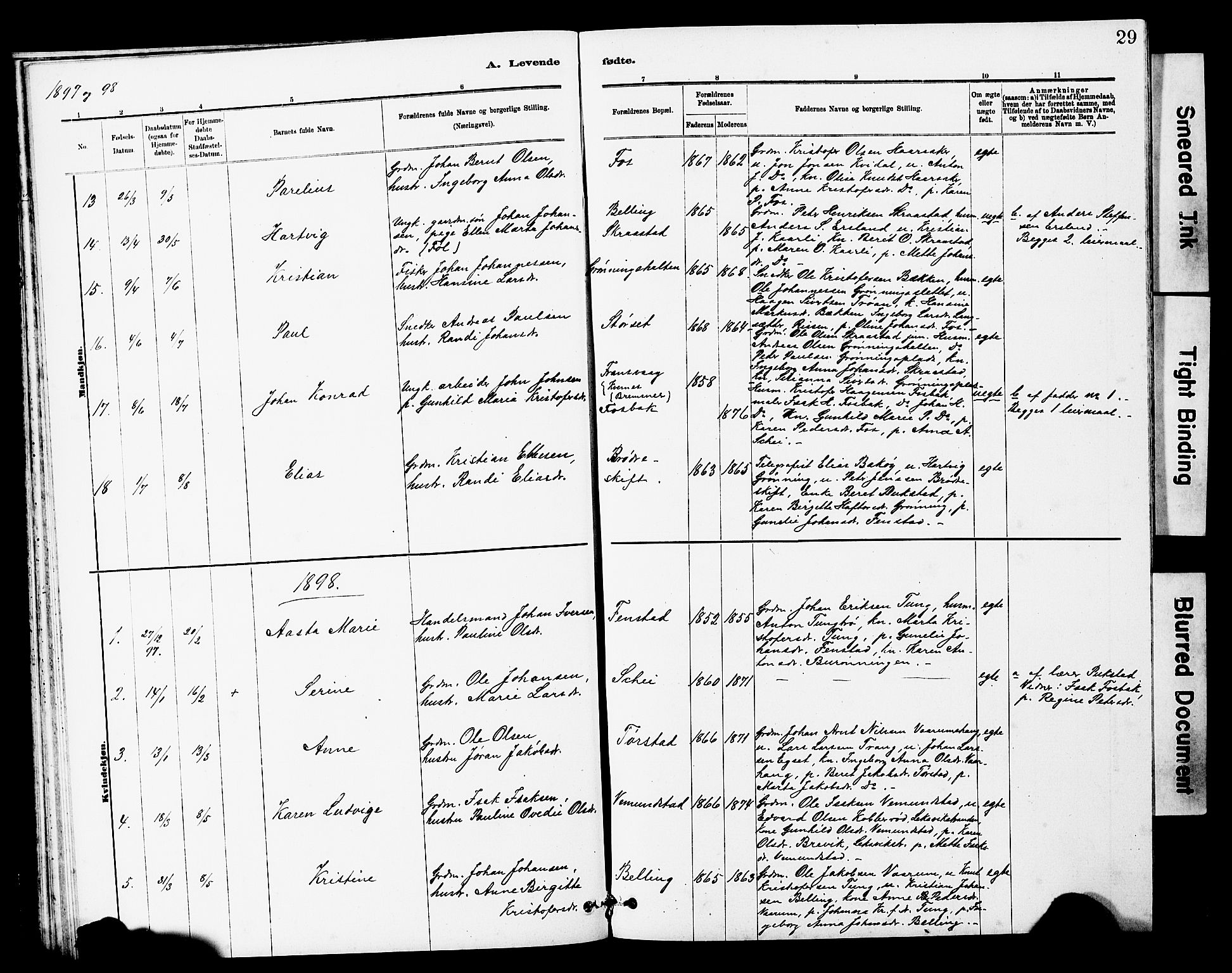 Ministerialprotokoller, klokkerbøker og fødselsregistre - Sør-Trøndelag, SAT/A-1456/646/L0628: Parish register (copy) no. 646C01, 1880-1903, p. 29