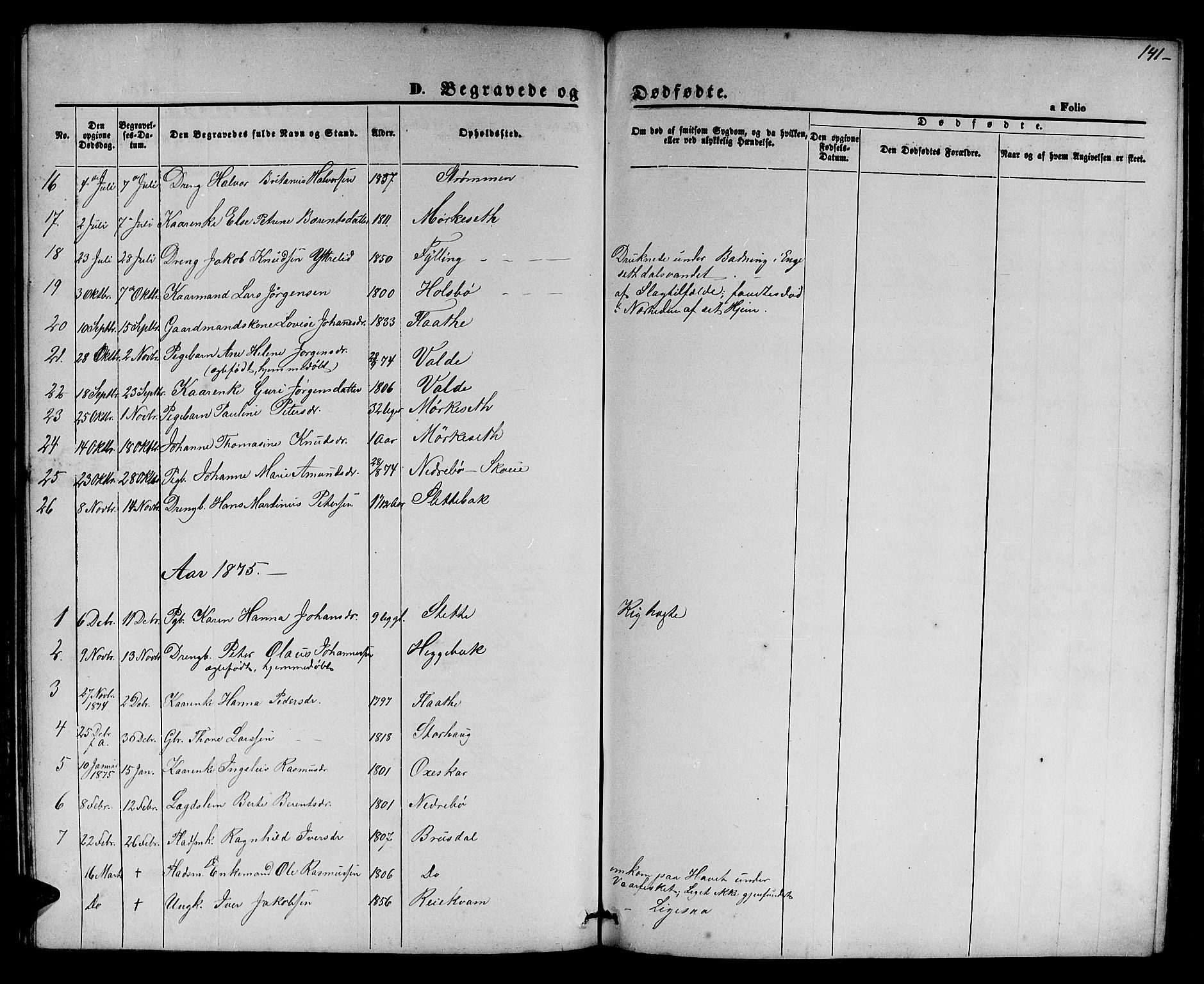 Ministerialprotokoller, klokkerbøker og fødselsregistre - Møre og Romsdal, AV/SAT-A-1454/524/L0364: Parish register (copy) no. 524C05, 1865-1879, p. 141