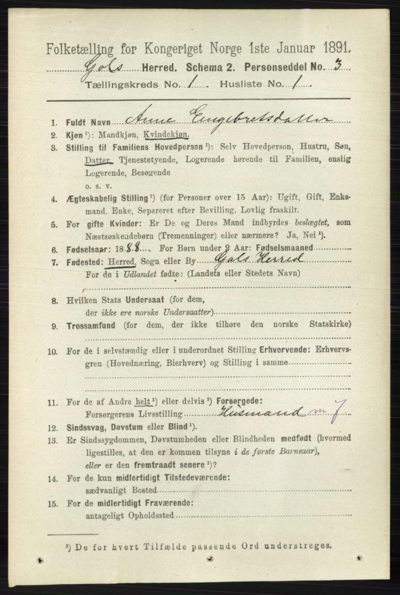 RA, 1891 census for 0617 Gol og Hemsedal, 1891, p. 128