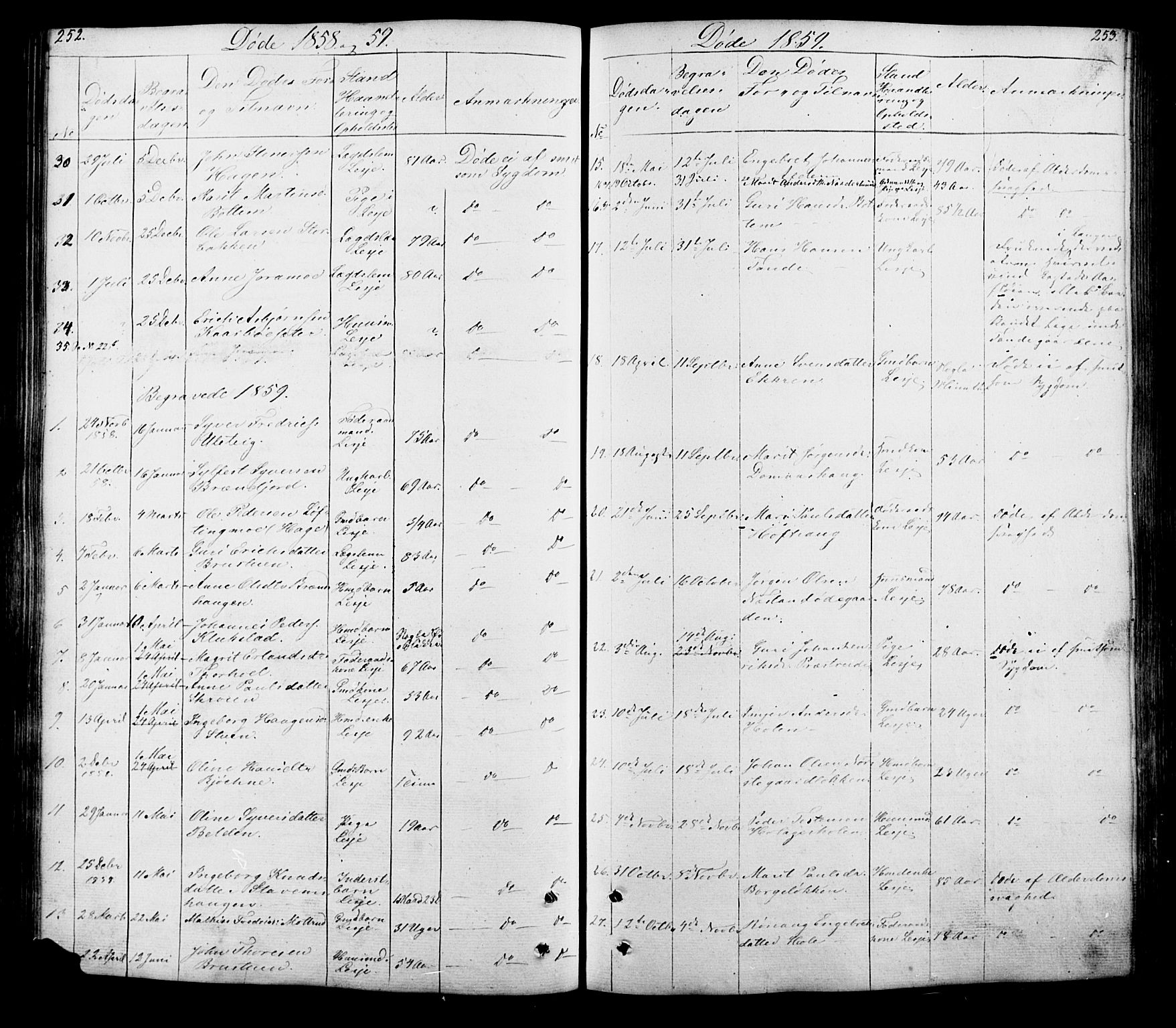 Lesja prestekontor, SAH/PREST-068/H/Ha/Hab/L0005: Parish register (copy) no. 5, 1850-1894, p. 252-253