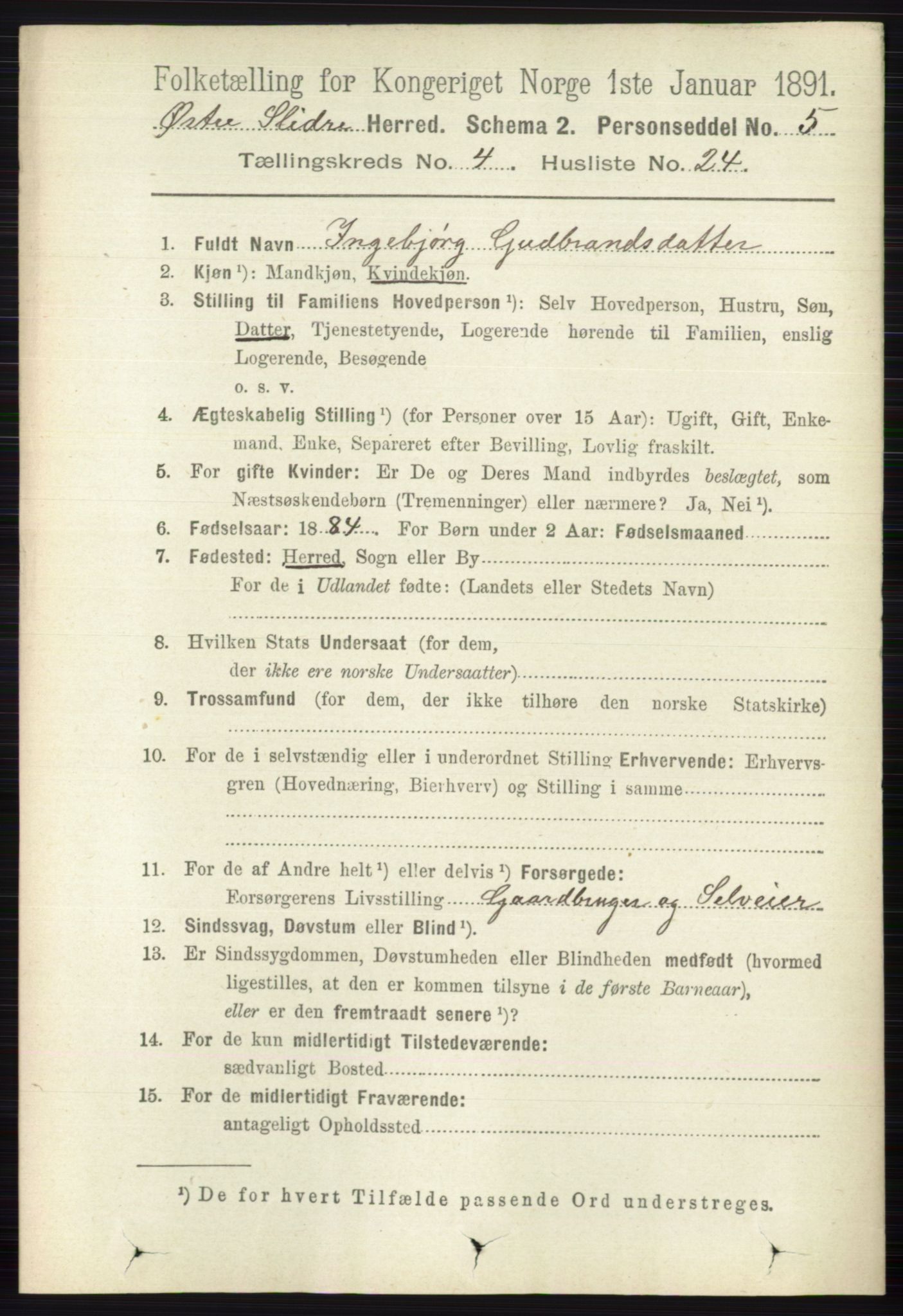 RA, 1891 census for 0544 Øystre Slidre, 1891, p. 1323