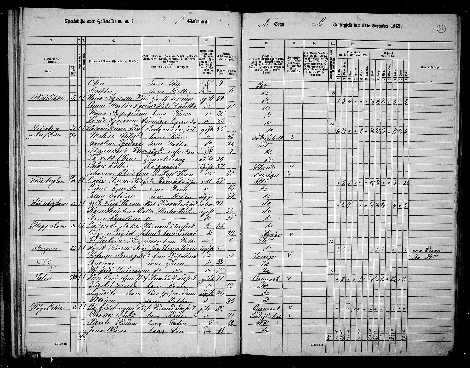 RA, 1865 census for Idd, 1865, p. 41