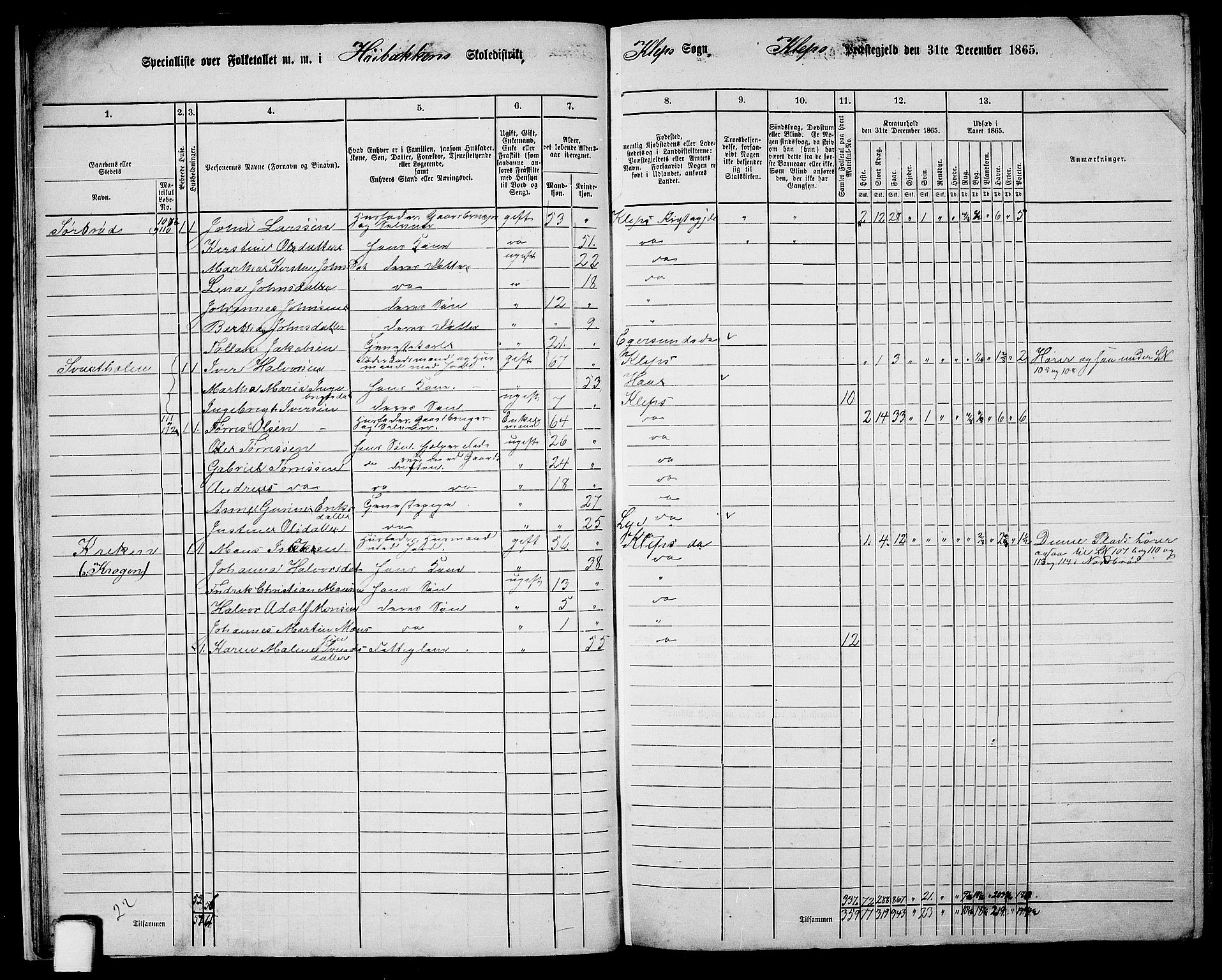 RA, 1865 census for Klepp, 1865, p. 20