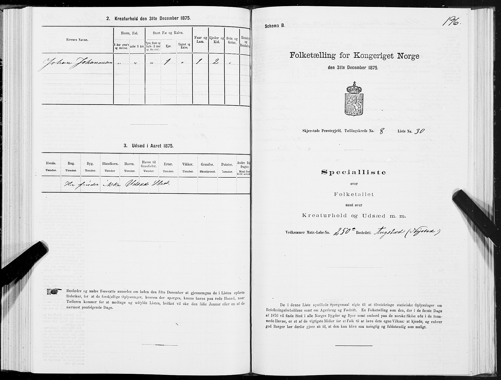 SAT, 1875 census for 1842P Skjerstad, 1875, p. 4196