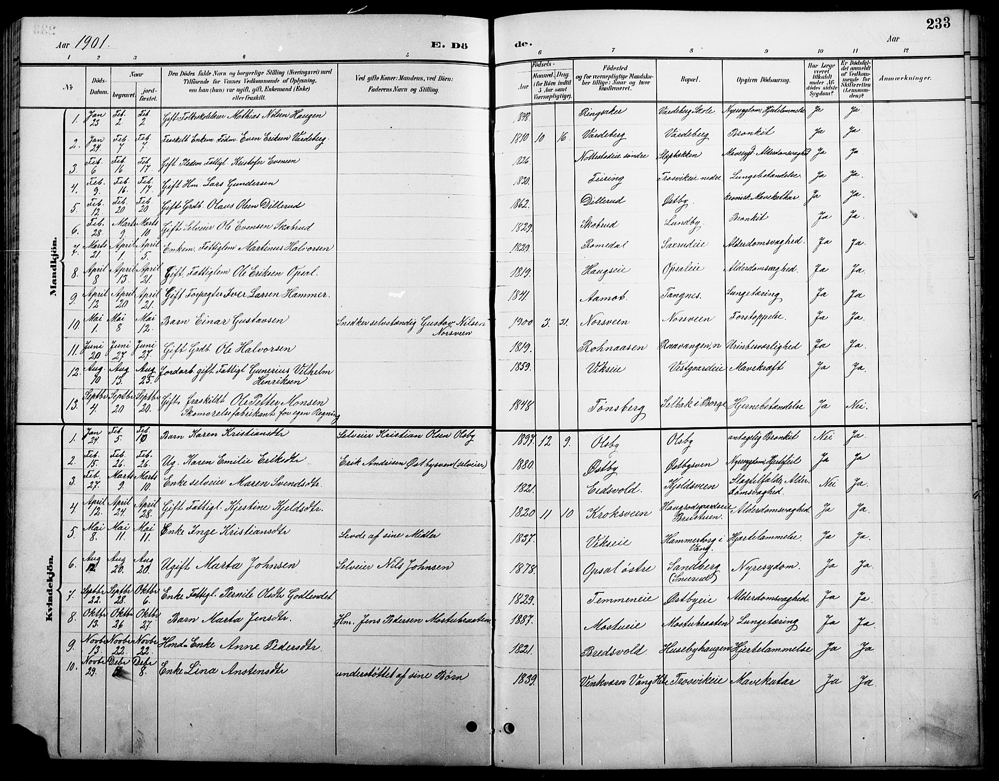 Stange prestekontor, SAH/PREST-002/L/L0011: Parish register (copy) no. 11, 1895-1917, p. 233