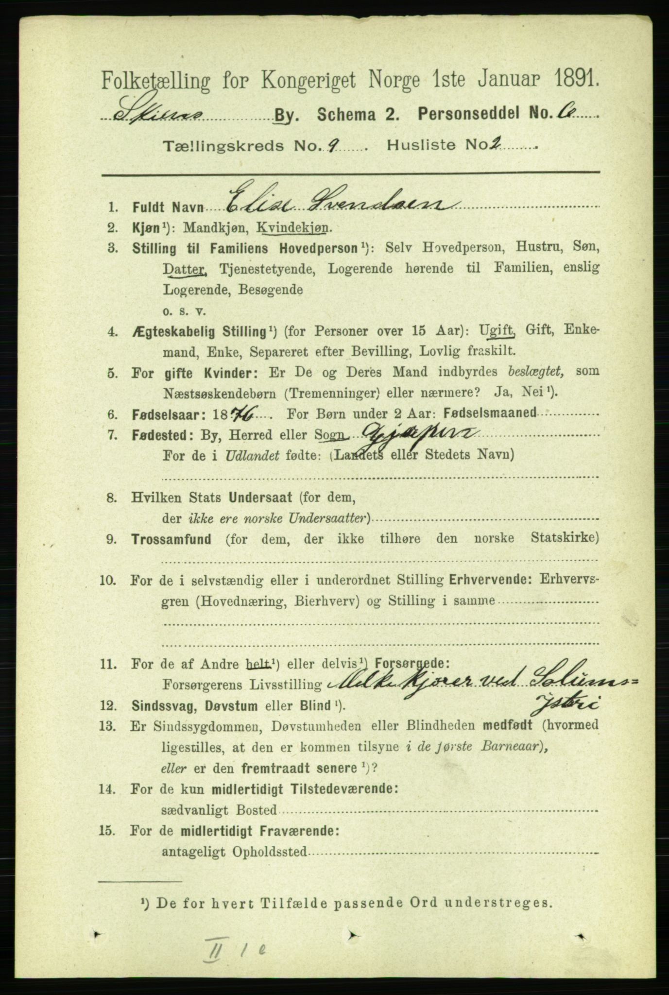 RA, 1891 census for 0806 Skien, 1891, p. 3532