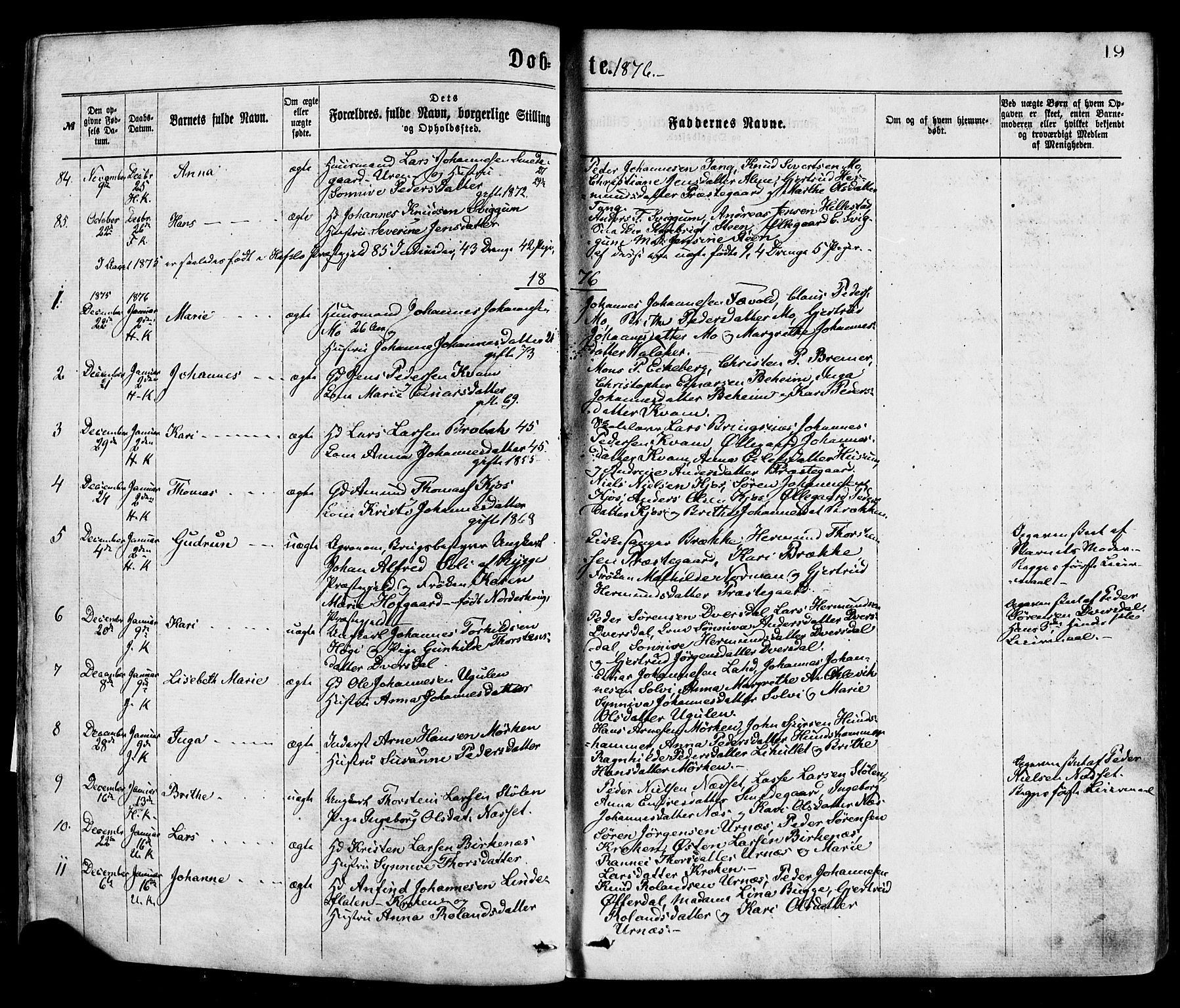 Hafslo sokneprestembete, AV/SAB-A-80301/H/Haa/Haaa/L0011: Parish register (official) no. A 11, 1873-1886, p. 19