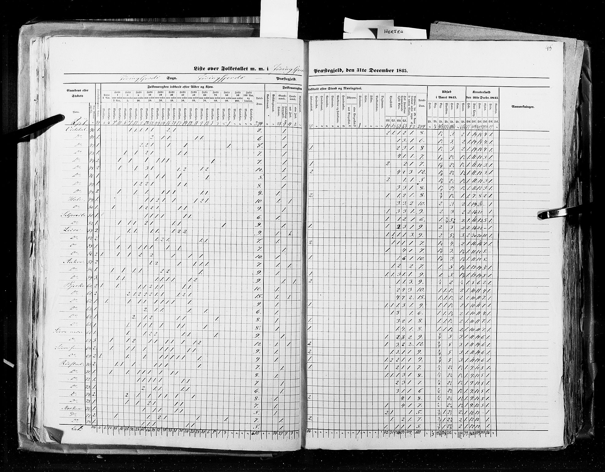 RA, Census 1845, vol. 8: Romsdal amt og Søndre Trondhjems amt, 1845, p. 45