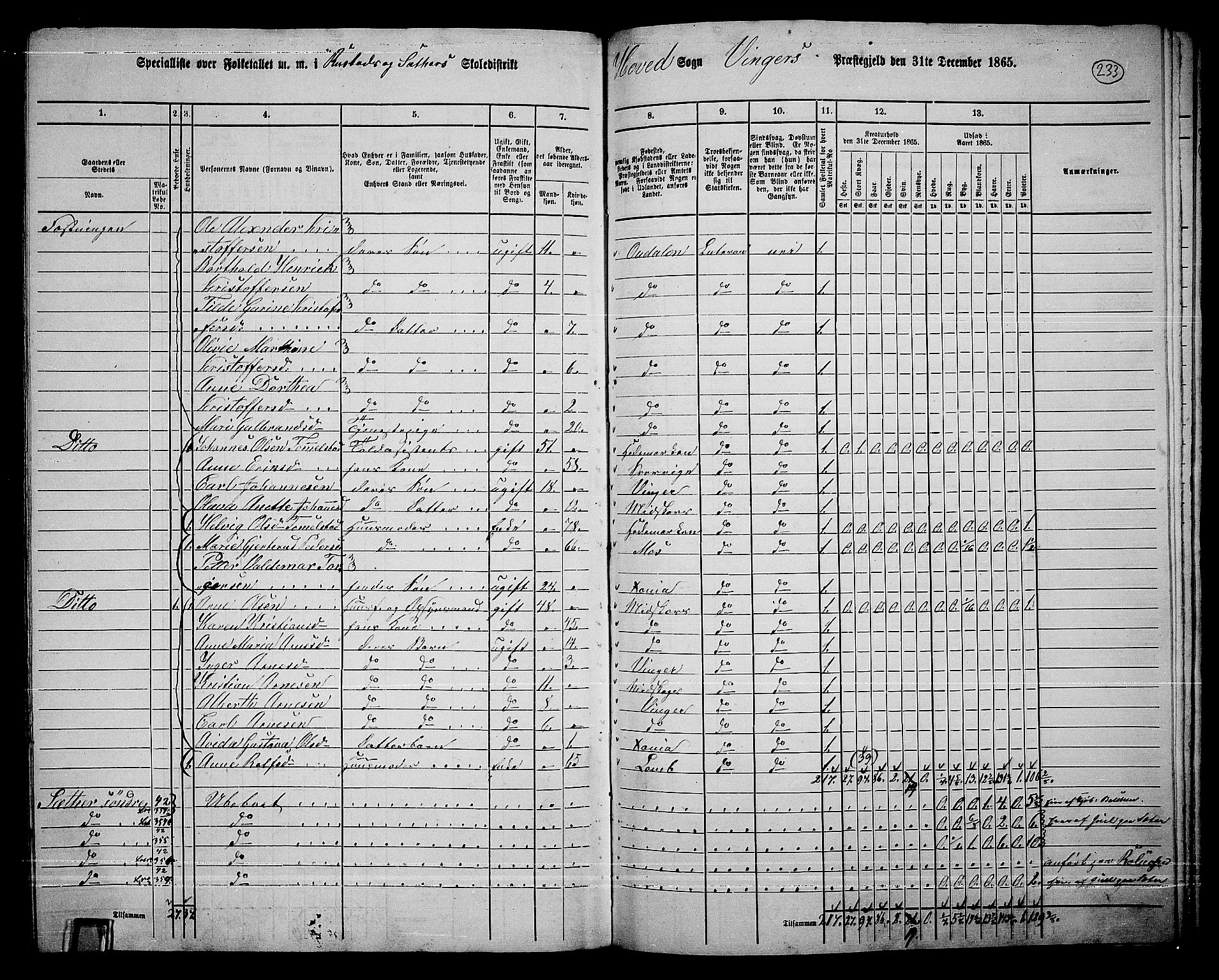 RA, 1865 census for Vinger/Vinger og Austmarka, 1865, p. 213