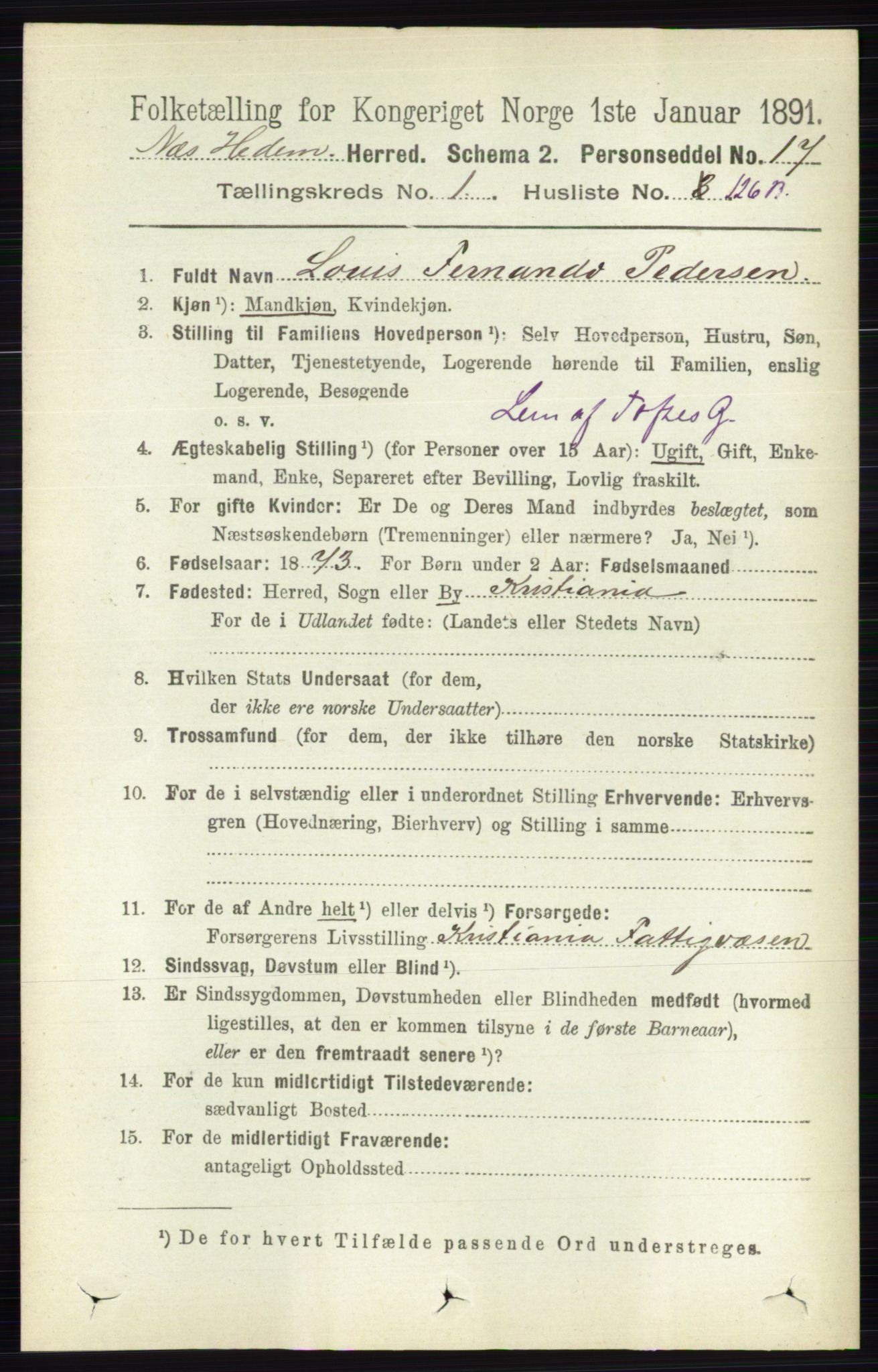 RA, 1891 census for 0411 Nes, 1891, p. 924