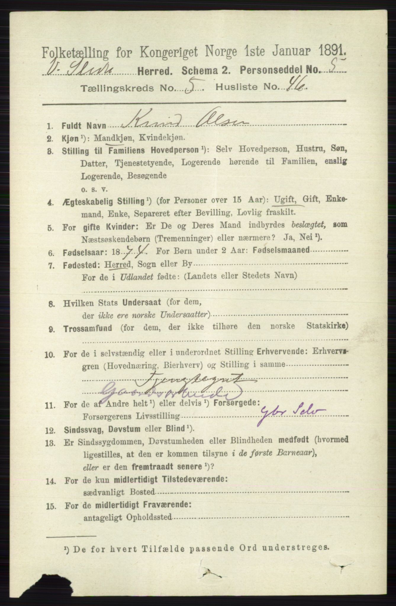 RA, 1891 census for 0543 Vestre Slidre, 1891, p. 1985