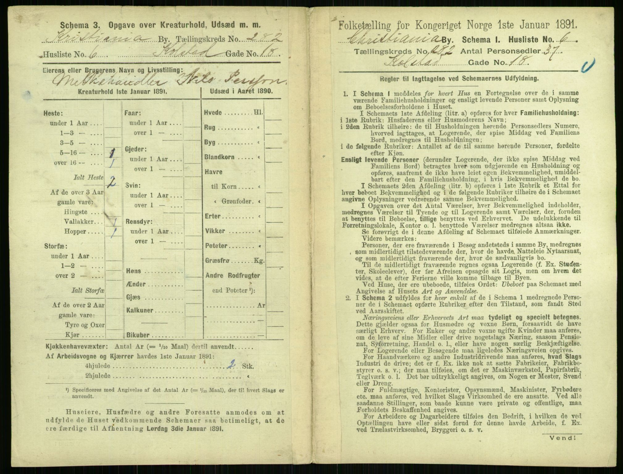 RA, 1891 census for 0301 Kristiania, 1891, p. 171466