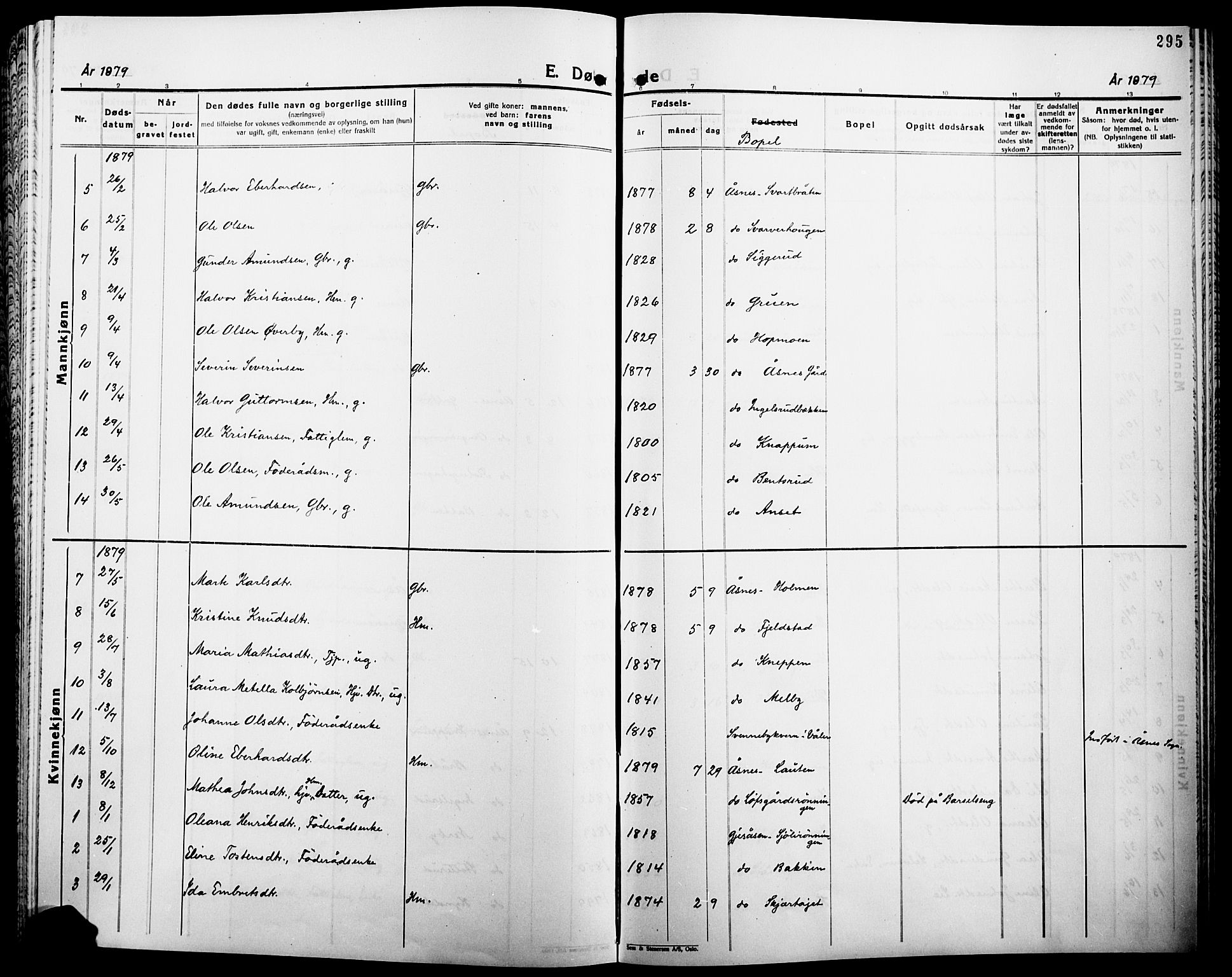 Åsnes prestekontor, SAH/PREST-042/H/Ha/Haa/L0000B: Parish register (official), 1870-1889, p. 295