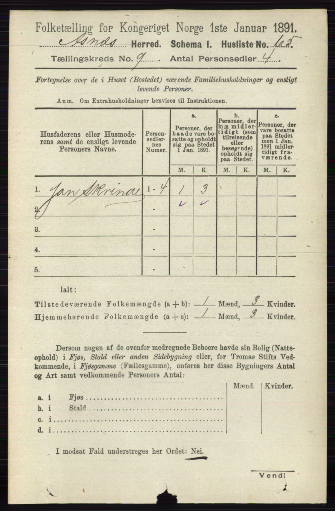 RA, 1891 census for 0425 Åsnes, 1891, p. 4612