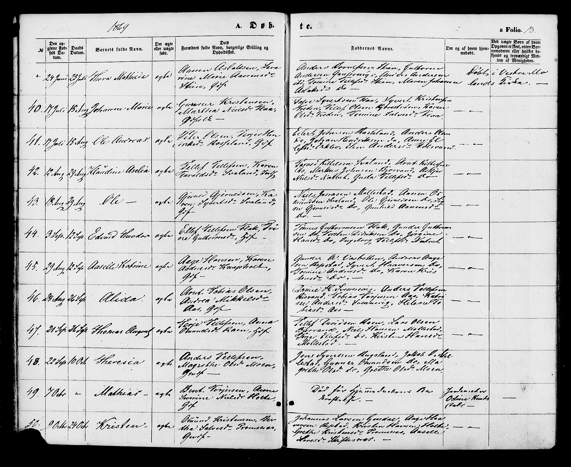 Birkenes sokneprestkontor, SAK/1111-0004/F/Fa/L0004: Parish register (official) no. A 4, 1867-1886, p. 13