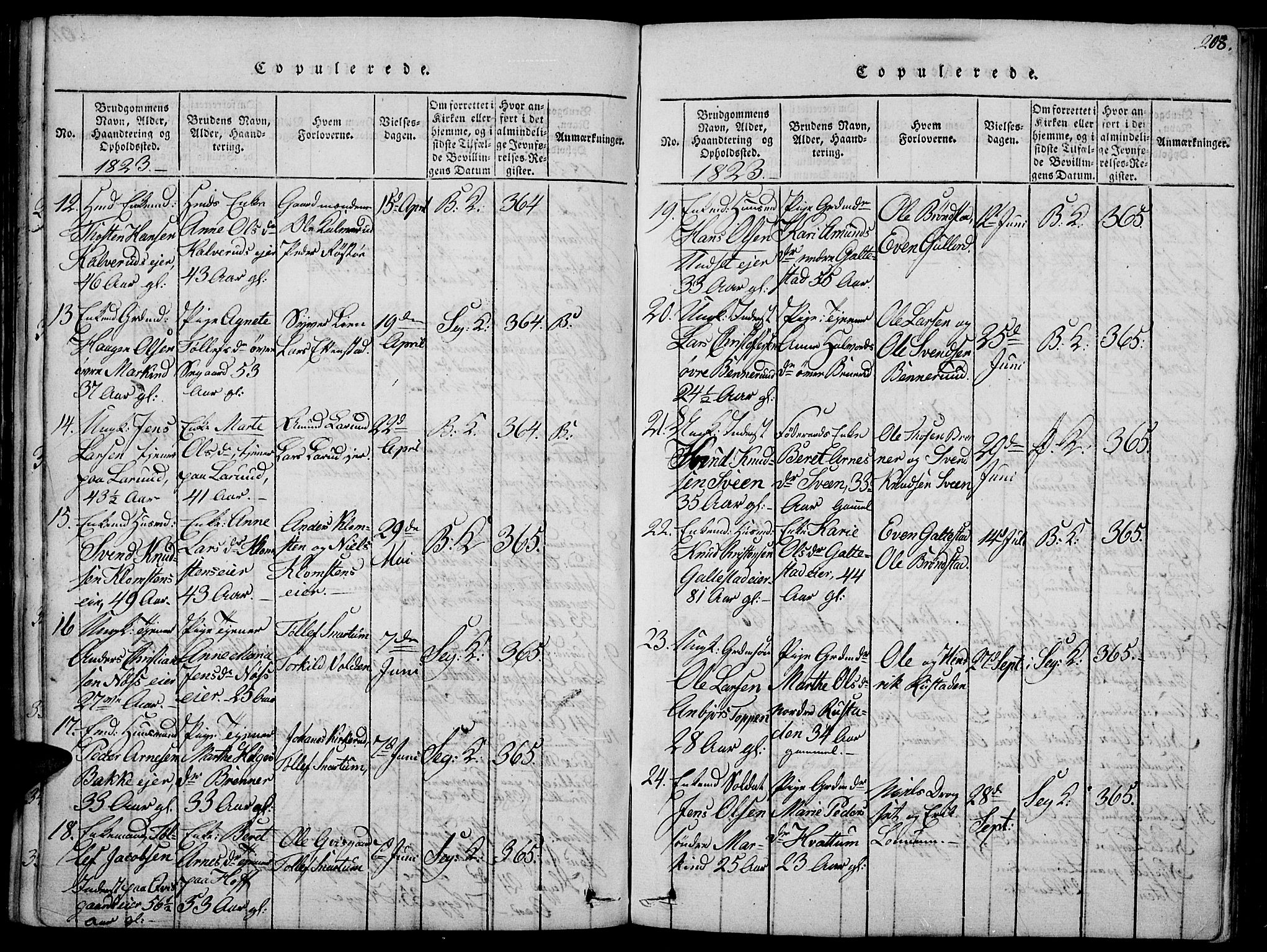 Biri prestekontor, SAH/PREST-096/H/Ha/Haa/L0003: Parish register (official) no. 3, 1814-1828, p. 208
