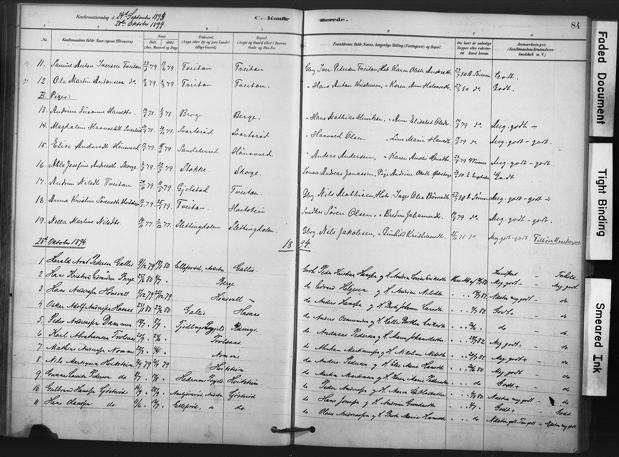 Andebu kirkebøker, AV/SAKO-A-336/F/Fa/L0008: Parish register (official) no. 8, 1878-1902, p. 84