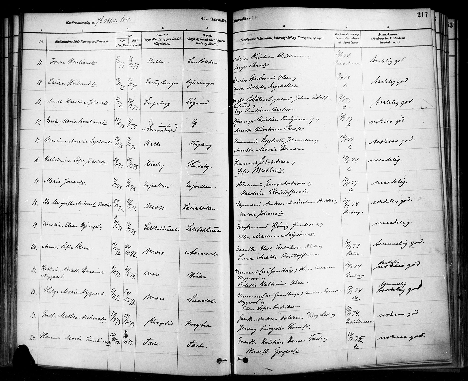 Rygge prestekontor Kirkebøker, AV/SAO-A-10084b/F/Fa/L0007: Parish register (official) no. 7, 1878-1904, p. 217