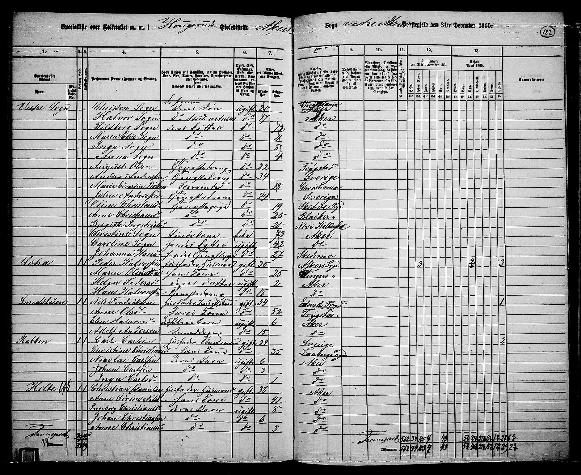 RA, 1865 census for Vestre Aker, 1865, p. 163