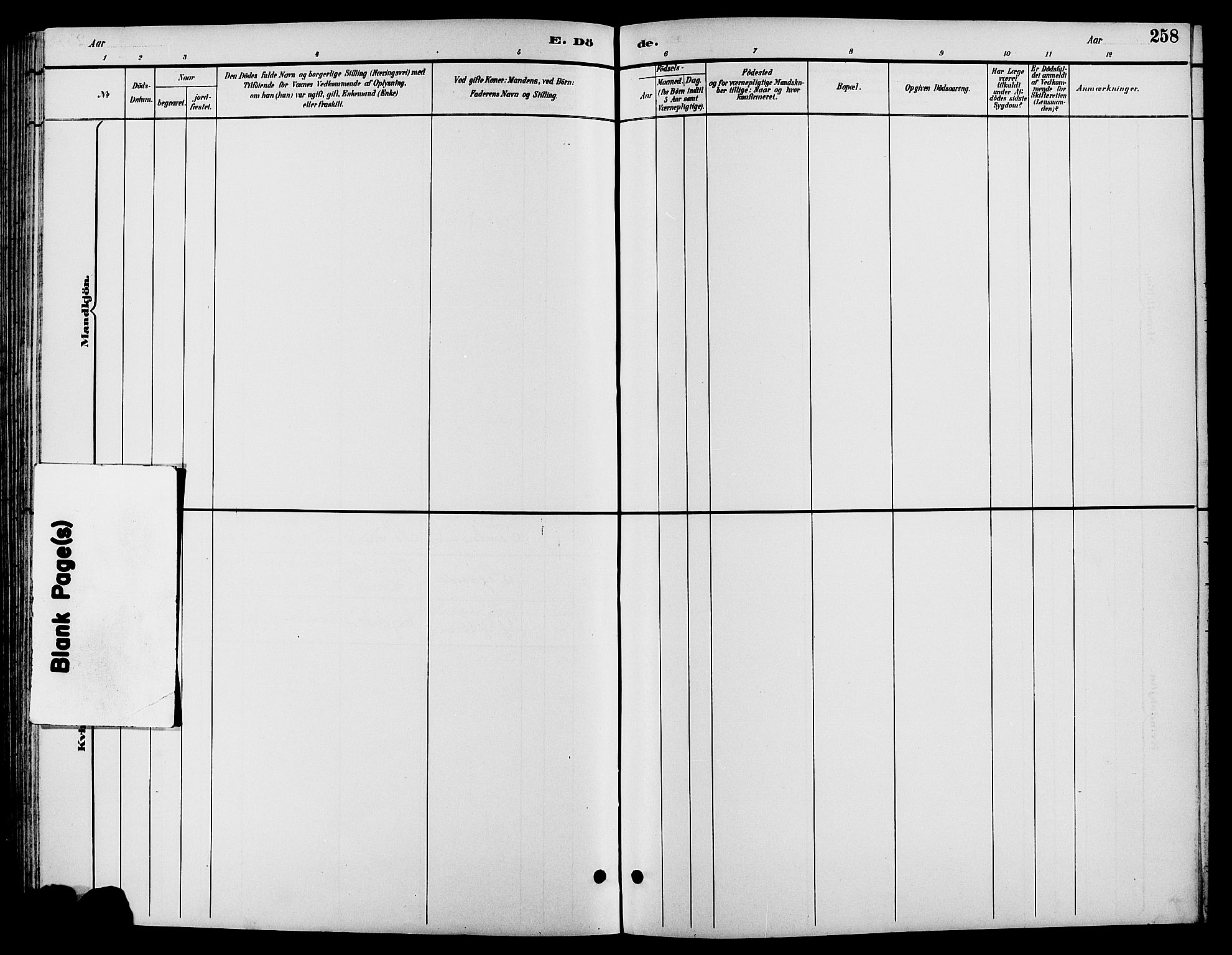 Biri prestekontor, SAH/PREST-096/H/Ha/Hab/L0004: Parish register (copy) no. 4, 1892-1909, p. 258