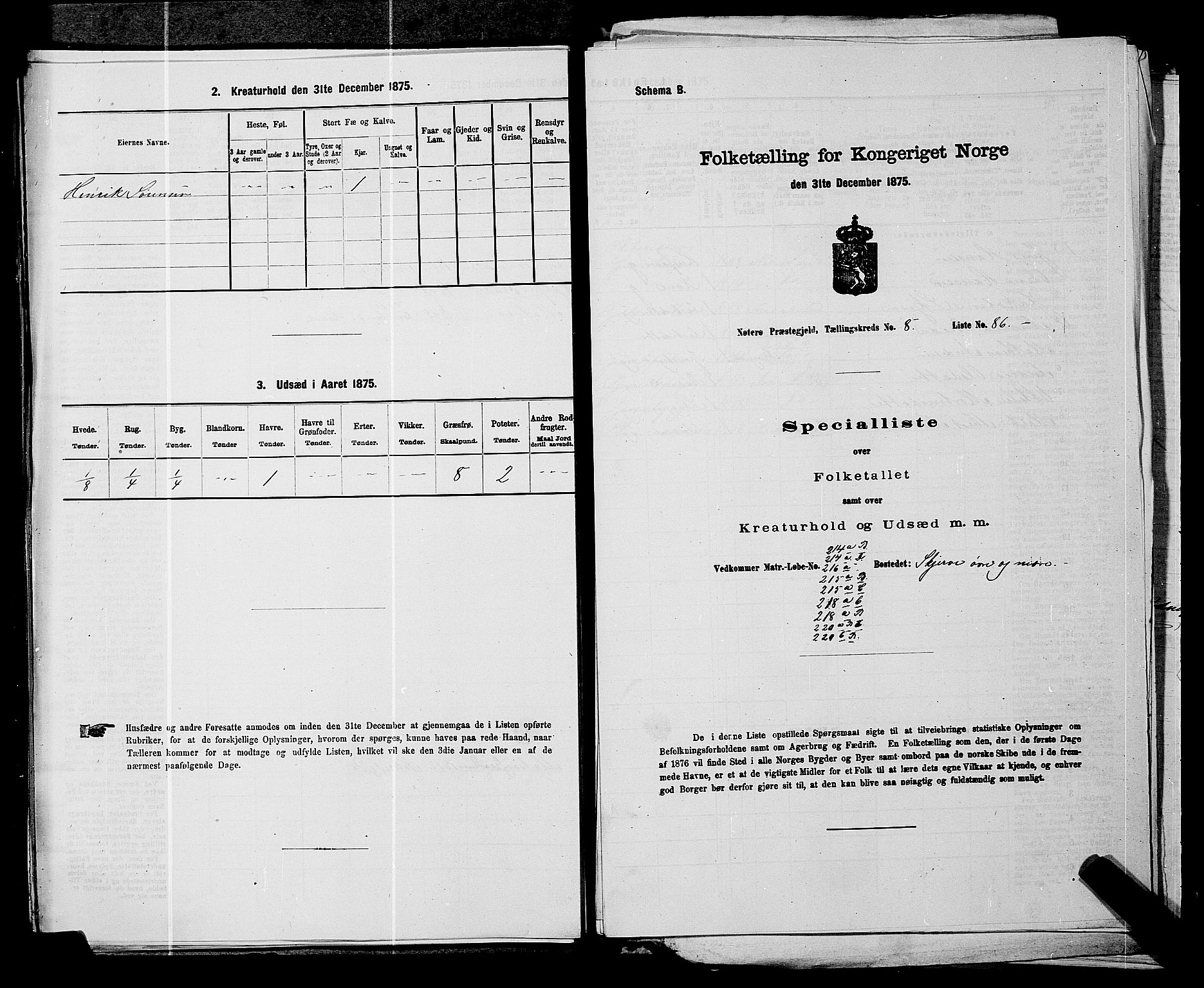 SAKO, 1875 census for 0722P Nøtterøy, 1875, p. 1715