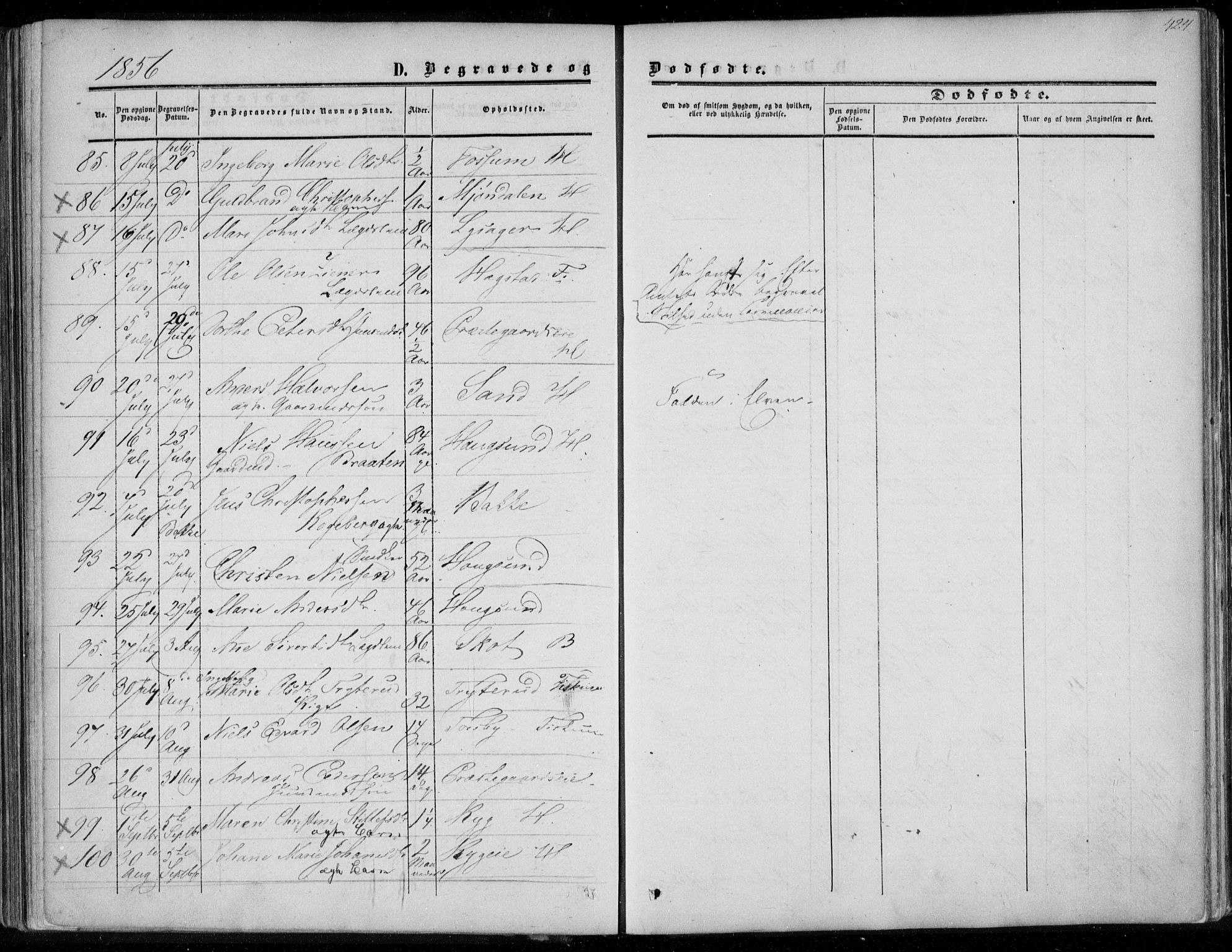 Eiker kirkebøker, SAKO/A-4/F/Fa/L0015b: Parish register (official) no. I 15B, 1854-1860, p. 424