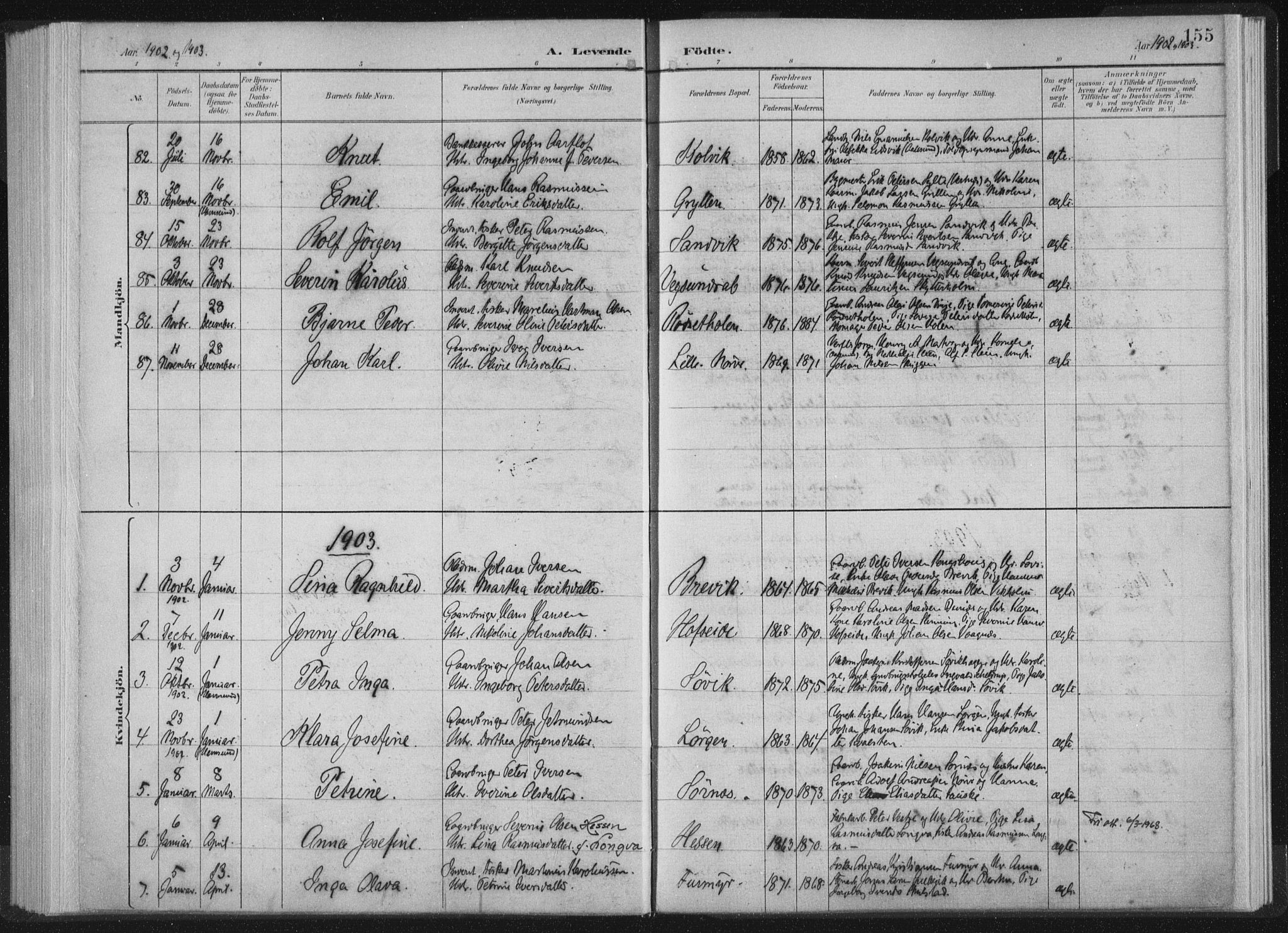 Ministerialprotokoller, klokkerbøker og fødselsregistre - Møre og Romsdal, AV/SAT-A-1454/528/L0405: Parish register (official) no. 528A14, 1891-1906, p. 155