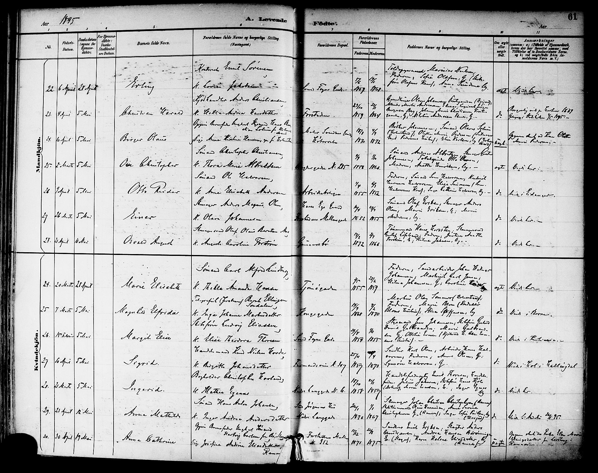 Tønsberg kirkebøker, SAKO/A-330/F/Fa/L0012: Parish register (official) no. I 12, 1891-1899, p. 61