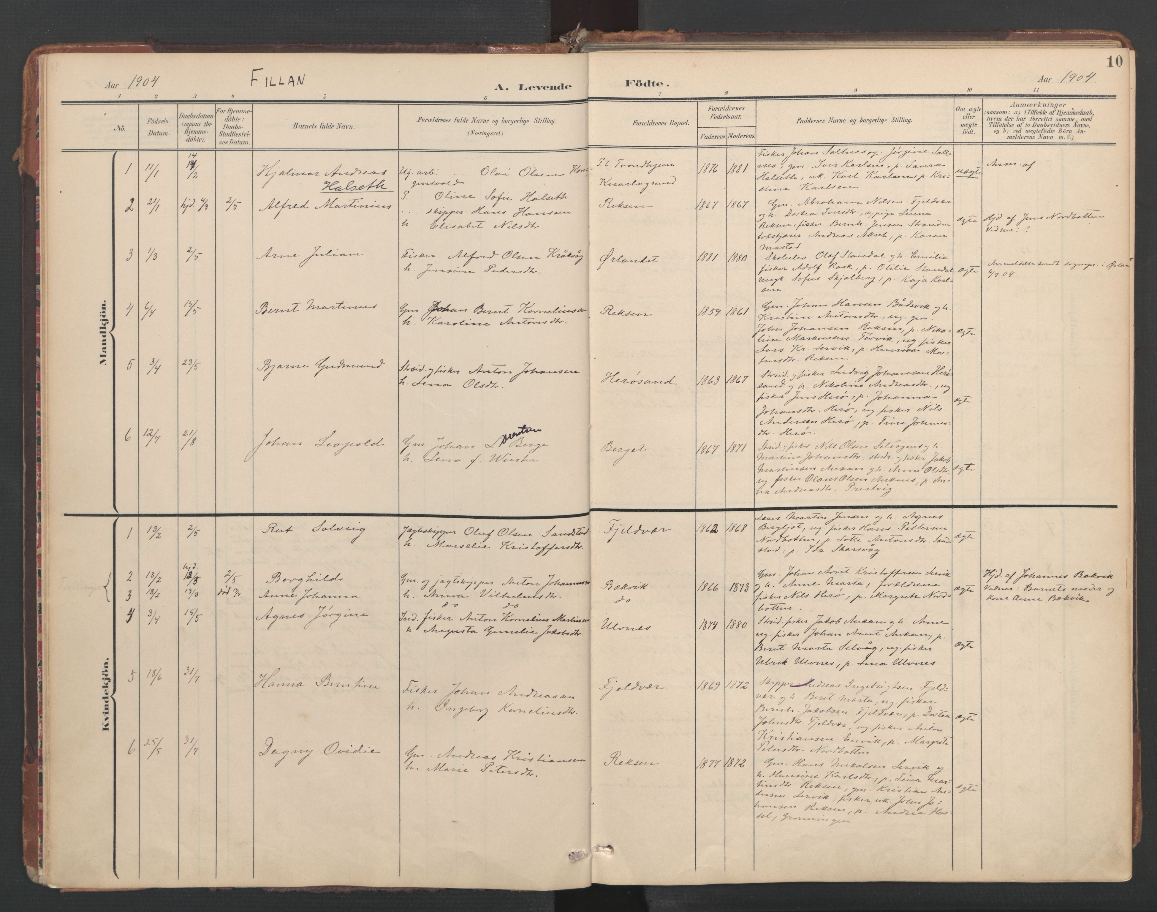 Ministerialprotokoller, klokkerbøker og fødselsregistre - Sør-Trøndelag, SAT/A-1456/638/L0568: Parish register (official) no. 638A01, 1901-1916, p. 10