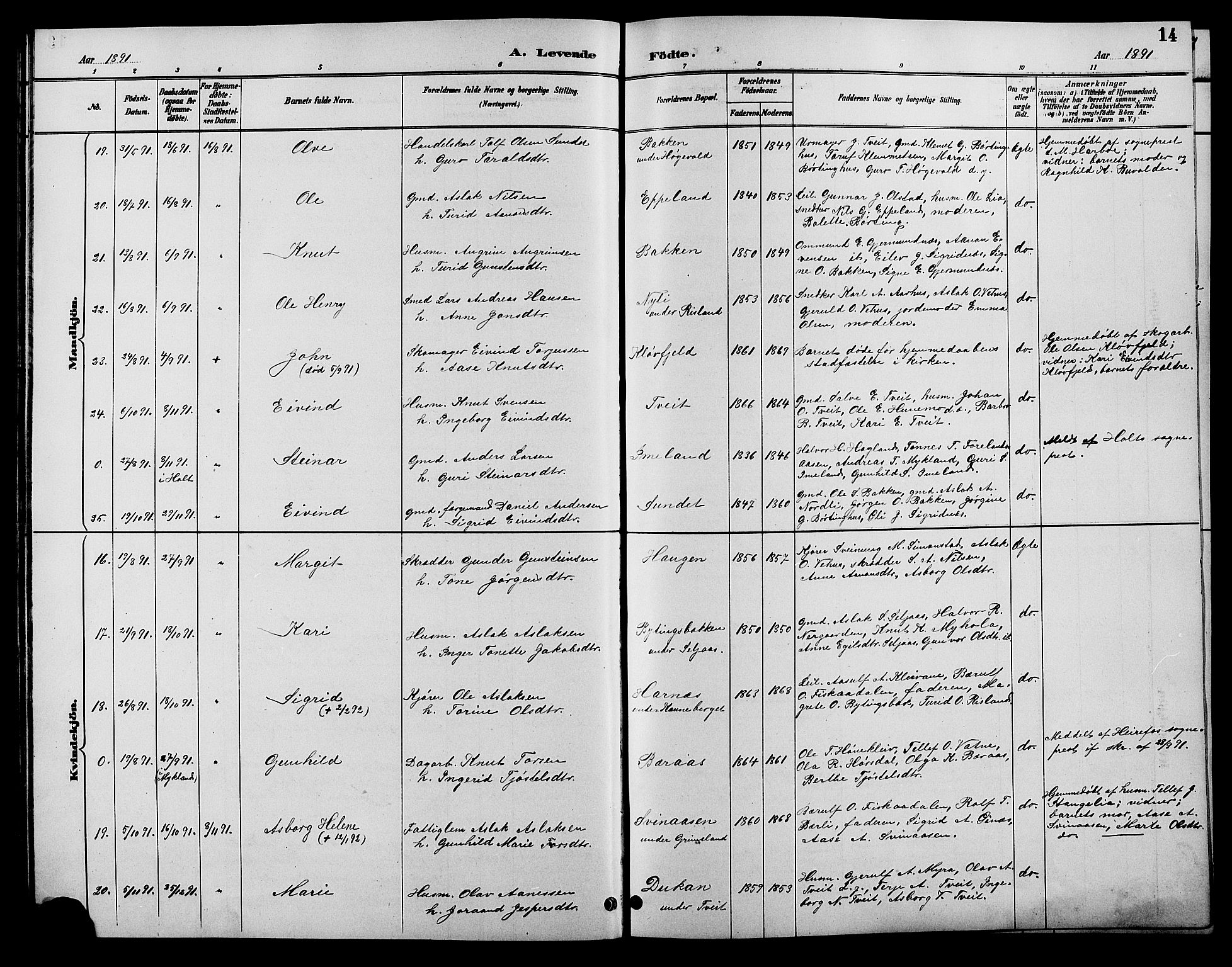 Åmli sokneprestkontor, AV/SAK-1111-0050/F/Fb/Fbc/L0004: Parish register (copy) no. B 4, 1889-1902, p. 14