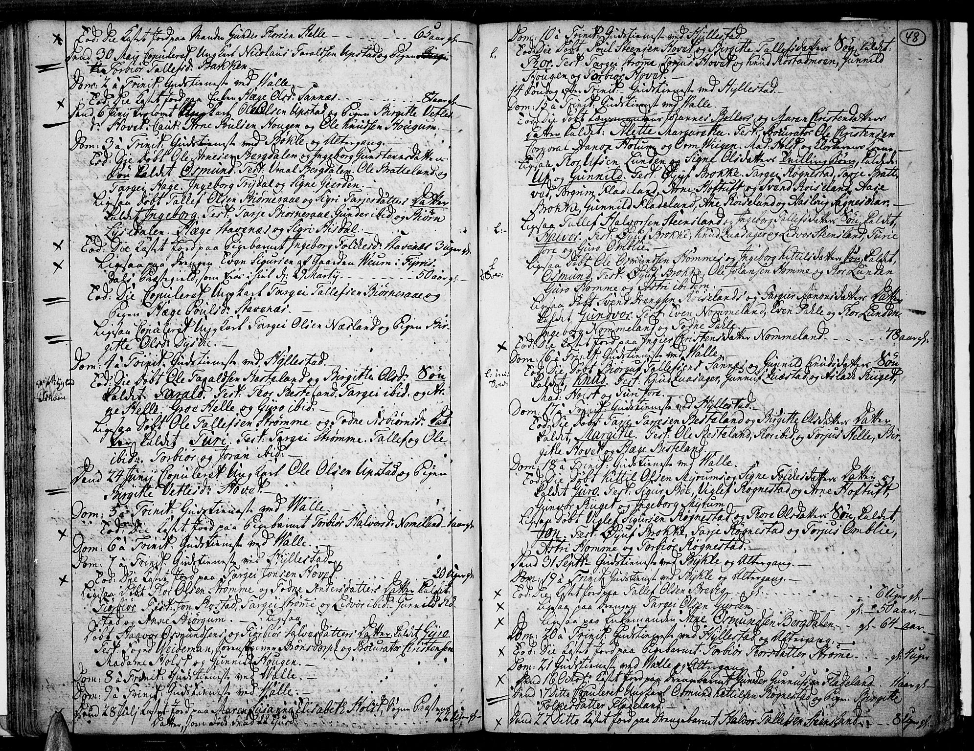 Valle sokneprestkontor, AV/SAK-1111-0044/F/Fa/Fac/L0003: Parish register (official) no. A 3, 1776-1790, p. 48