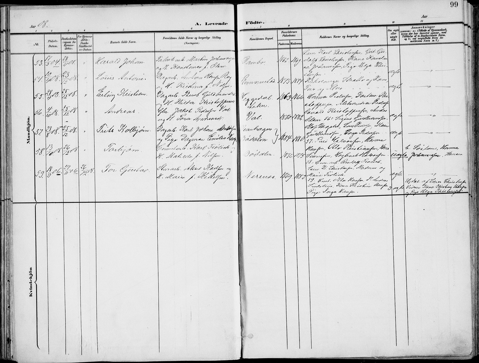 Røyken kirkebøker, SAKO/A-241/F/Fa/L0009: Parish register (official) no. 9, 1898-1911, p. 99