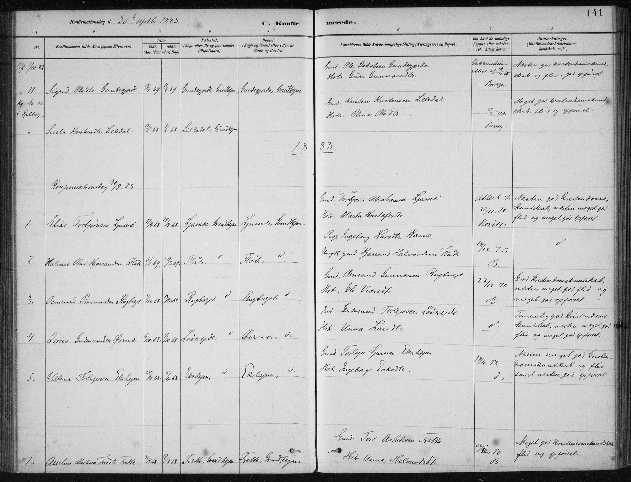 Etne sokneprestembete, AV/SAB-A-75001/H/Haa: Parish register (official) no. D  1, 1879-1919, p. 141