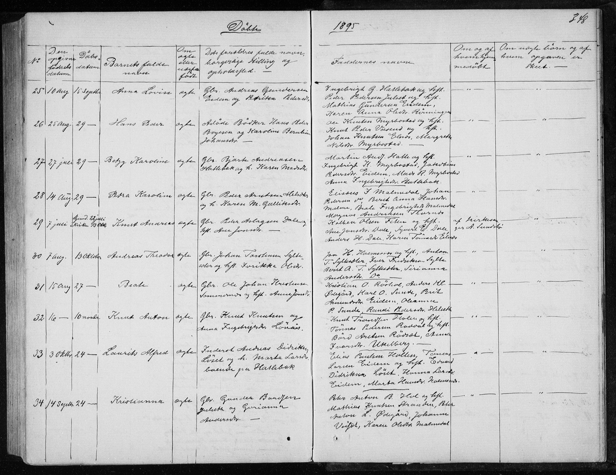 Ministerialprotokoller, klokkerbøker og fødselsregistre - Møre og Romsdal, AV/SAT-A-1454/565/L0754: Parish register (copy) no. 565C03, 1870-1896, p. 348