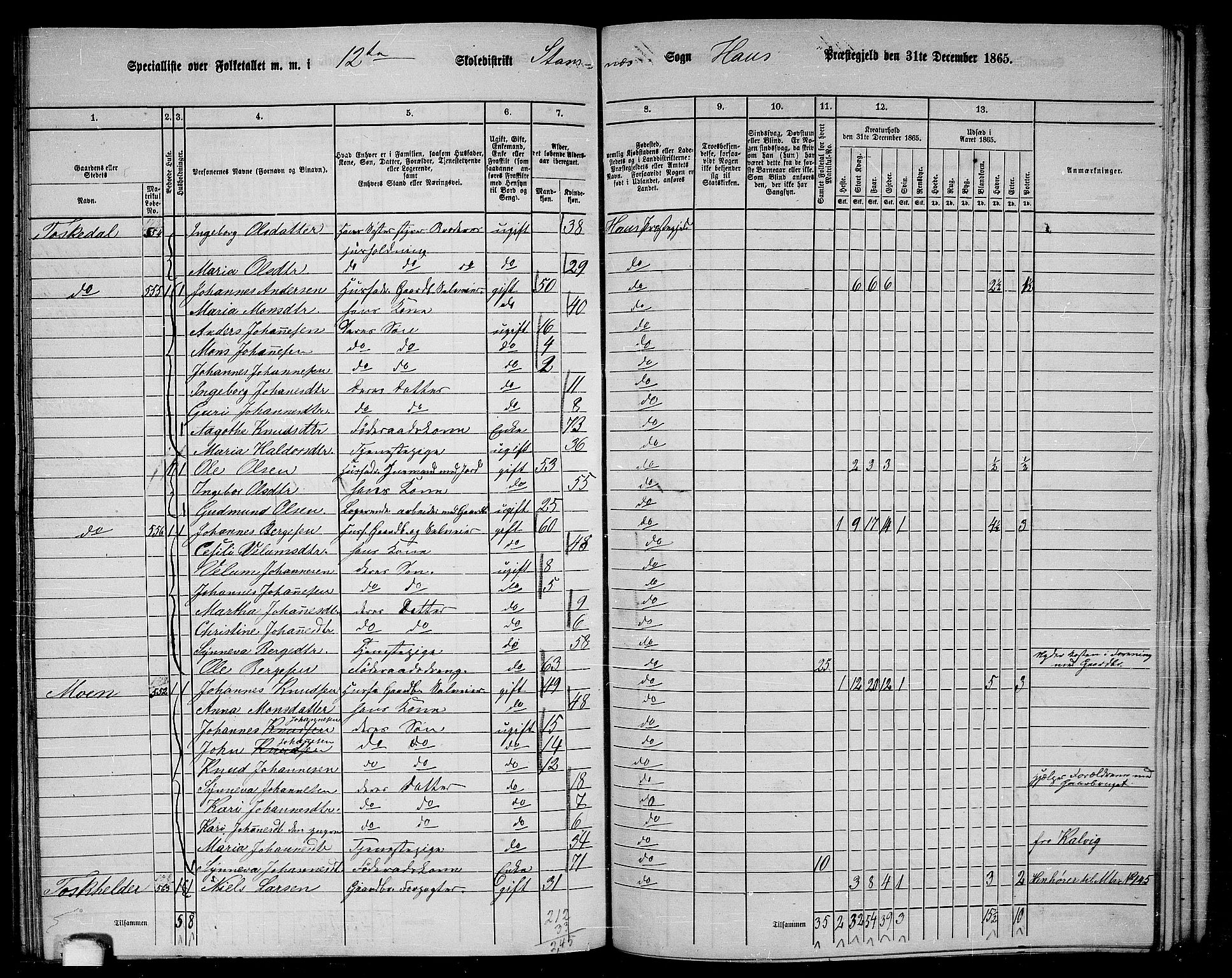 RA, 1865 census for Haus, 1865, p. 240