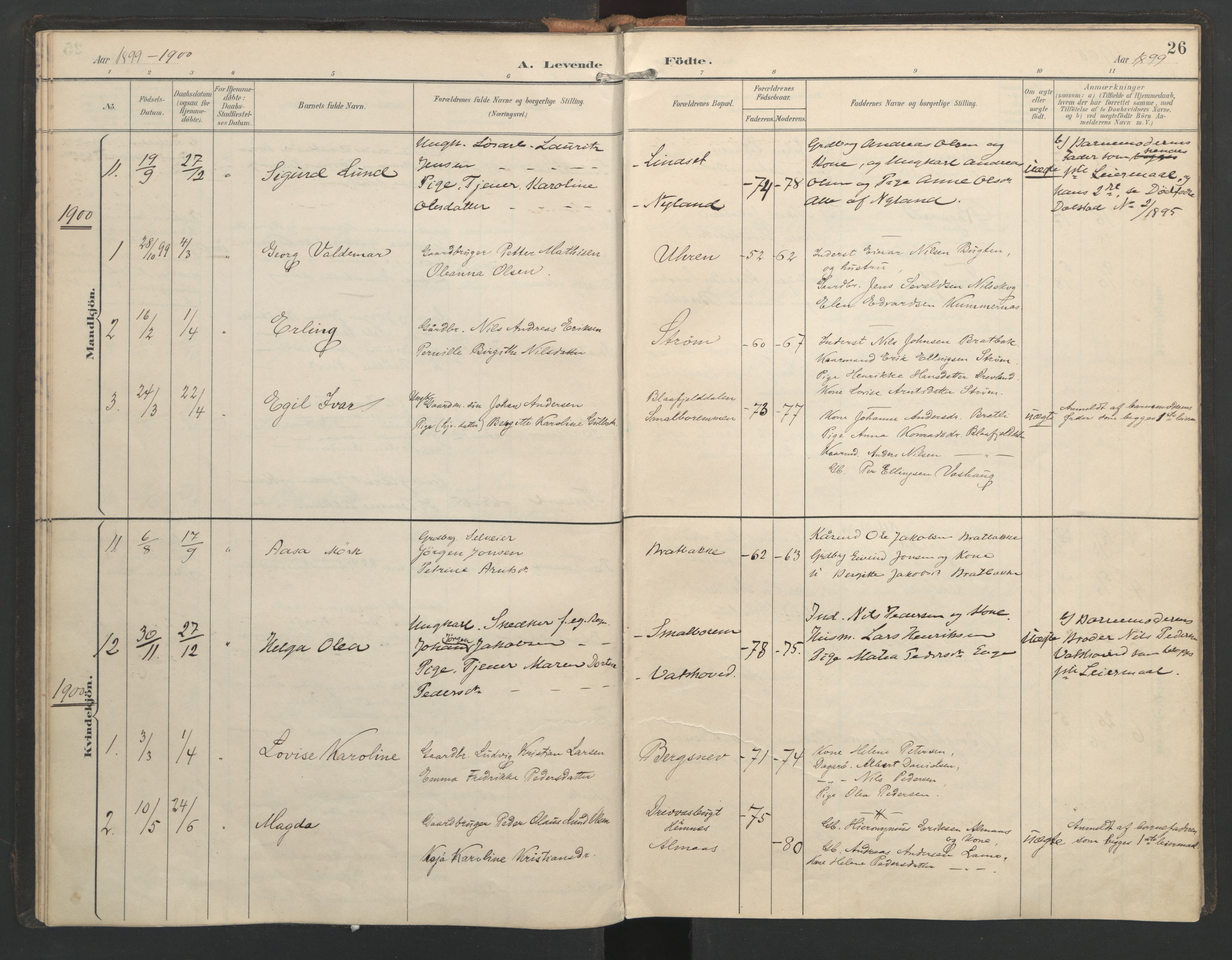 Ministerialprotokoller, klokkerbøker og fødselsregistre - Nordland, SAT/A-1459/821/L0317: Parish register (official) no. 821A01, 1892-1907, p. 26