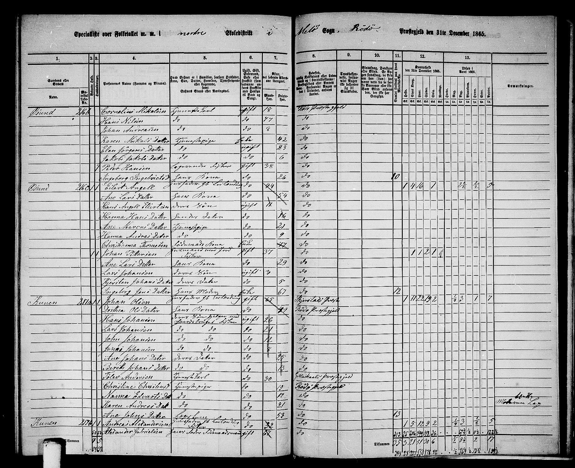 RA, 1865 census for Rødøy, 1865, p. 156