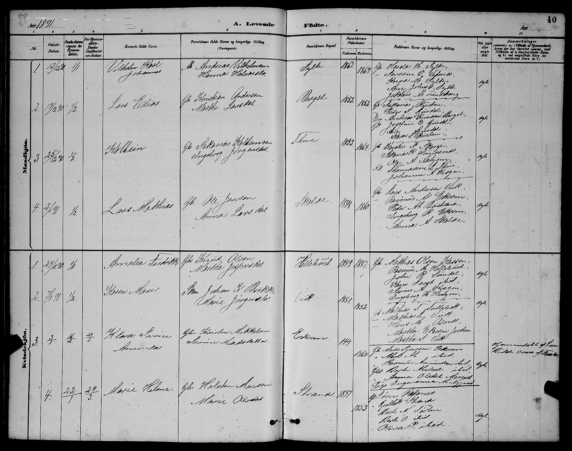 Ministerialprotokoller, klokkerbøker og fødselsregistre - Møre og Romsdal, AV/SAT-A-1454/501/L0017: Parish register (copy) no. 501C03, 1885-1901, p. 40