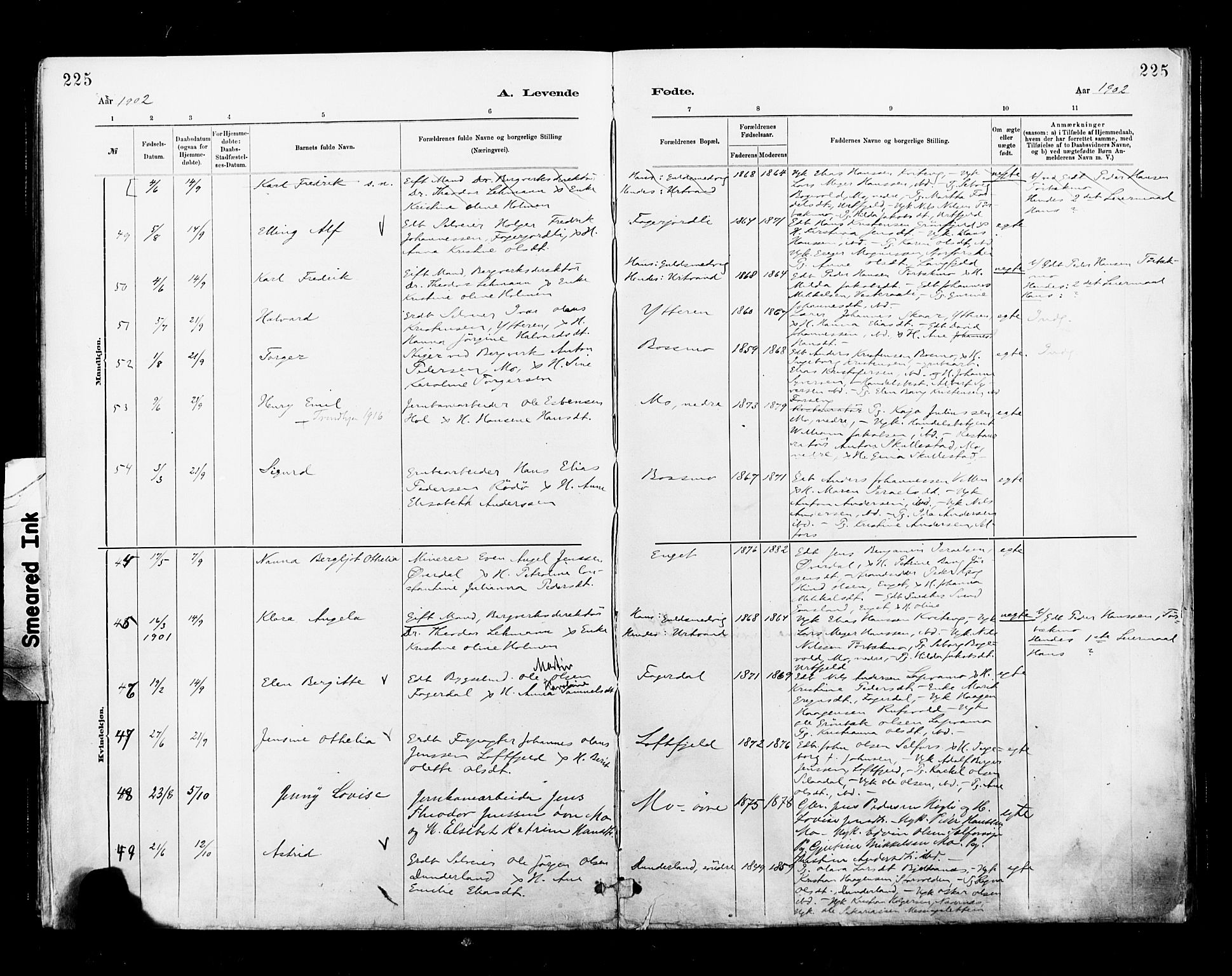 Ministerialprotokoller, klokkerbøker og fødselsregistre - Nordland, AV/SAT-A-1459/827/L0400: Parish register (official) no. 827A12, 1883-1903, p. 225