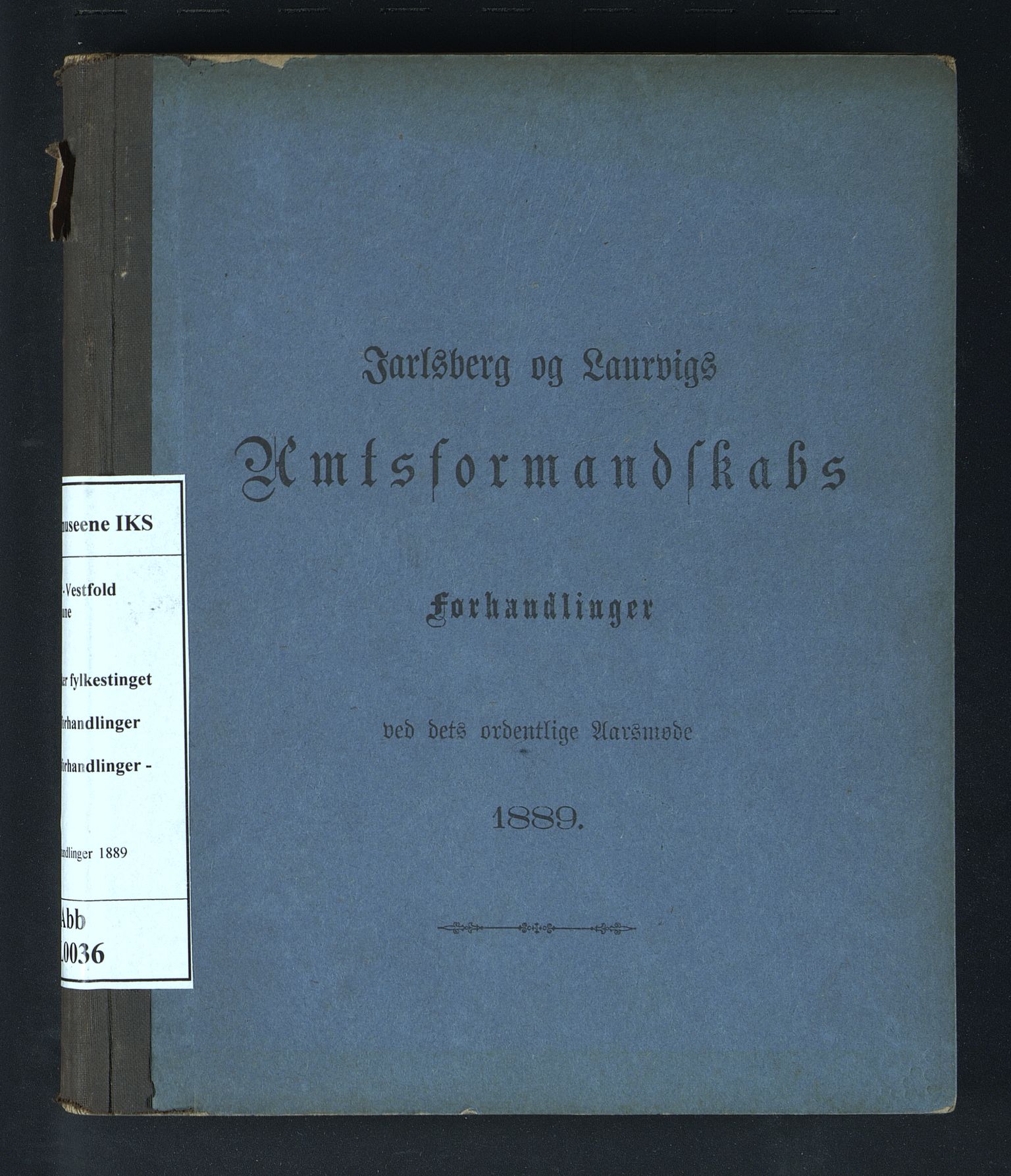 Vestfold fylkeskommune. Fylkestinget, VEMU/A-1315/A/Ab/Abb/L0036: Fylkestingsforhandlinger, 1889