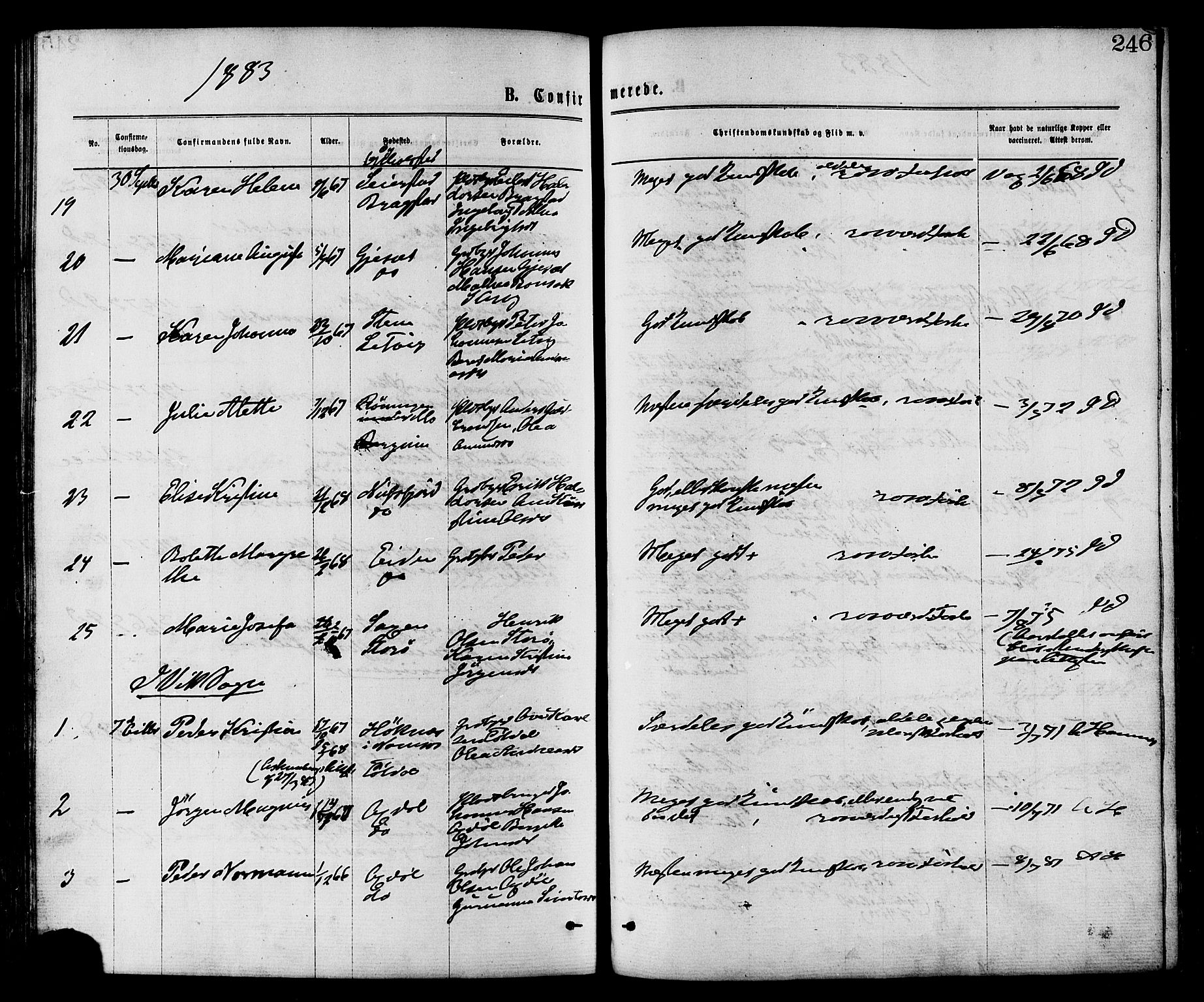 Ministerialprotokoller, klokkerbøker og fødselsregistre - Nord-Trøndelag, SAT/A-1458/773/L0616: Parish register (official) no. 773A07, 1870-1887, p. 246