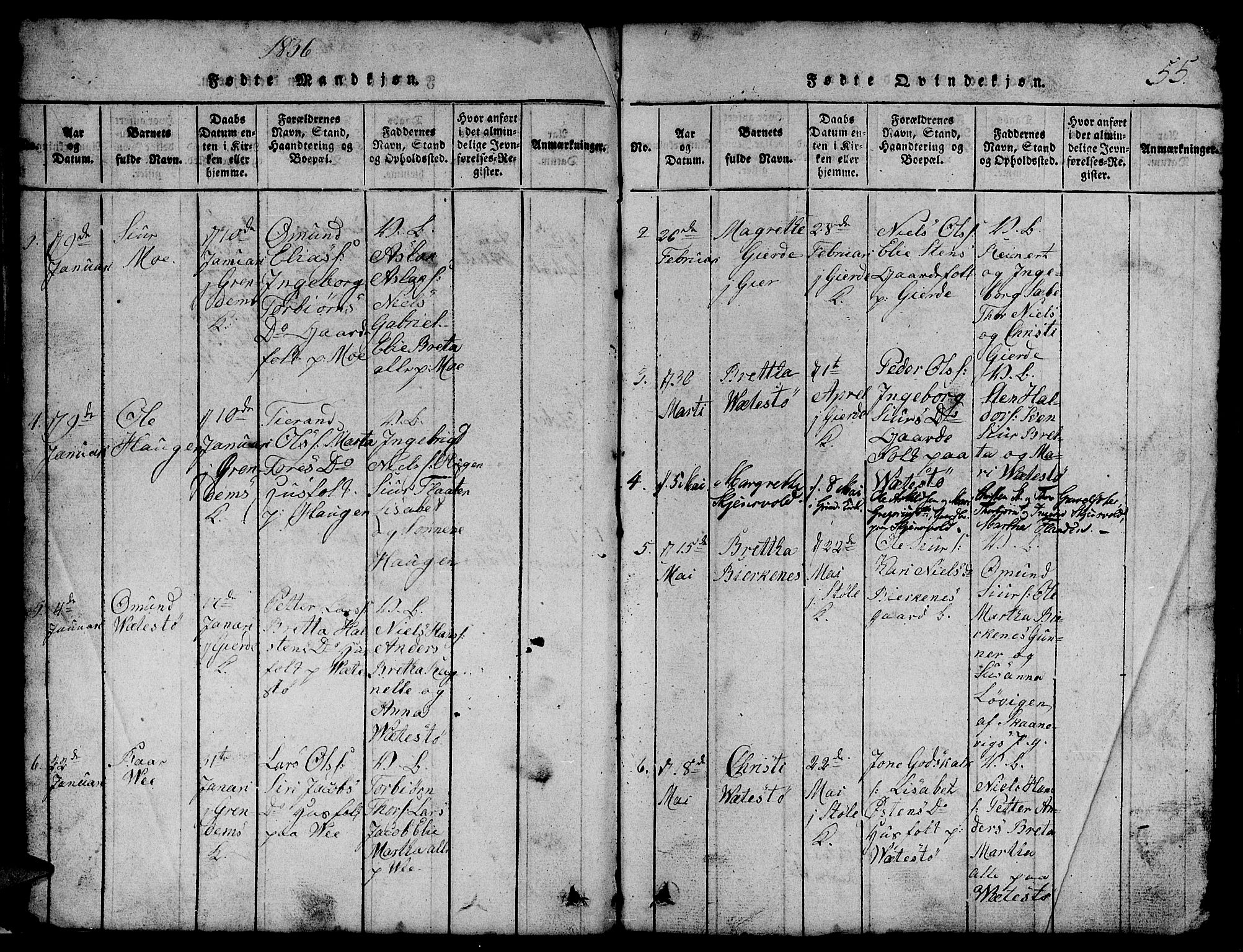 Etne sokneprestembete, SAB/A-75001/H/Hab: Parish register (copy) no. B 1, 1815-1850, p. 55