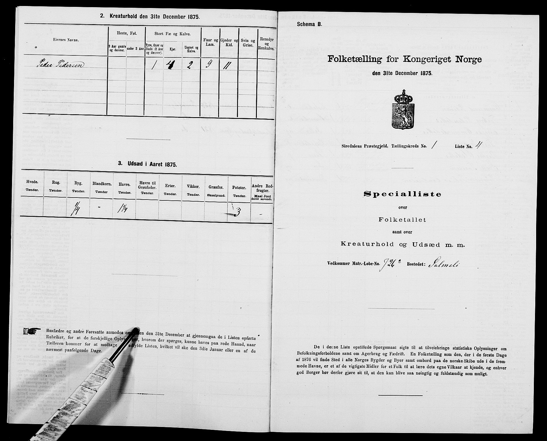 SAK, 1875 census for 1046P Sirdal, 1875, p. 48