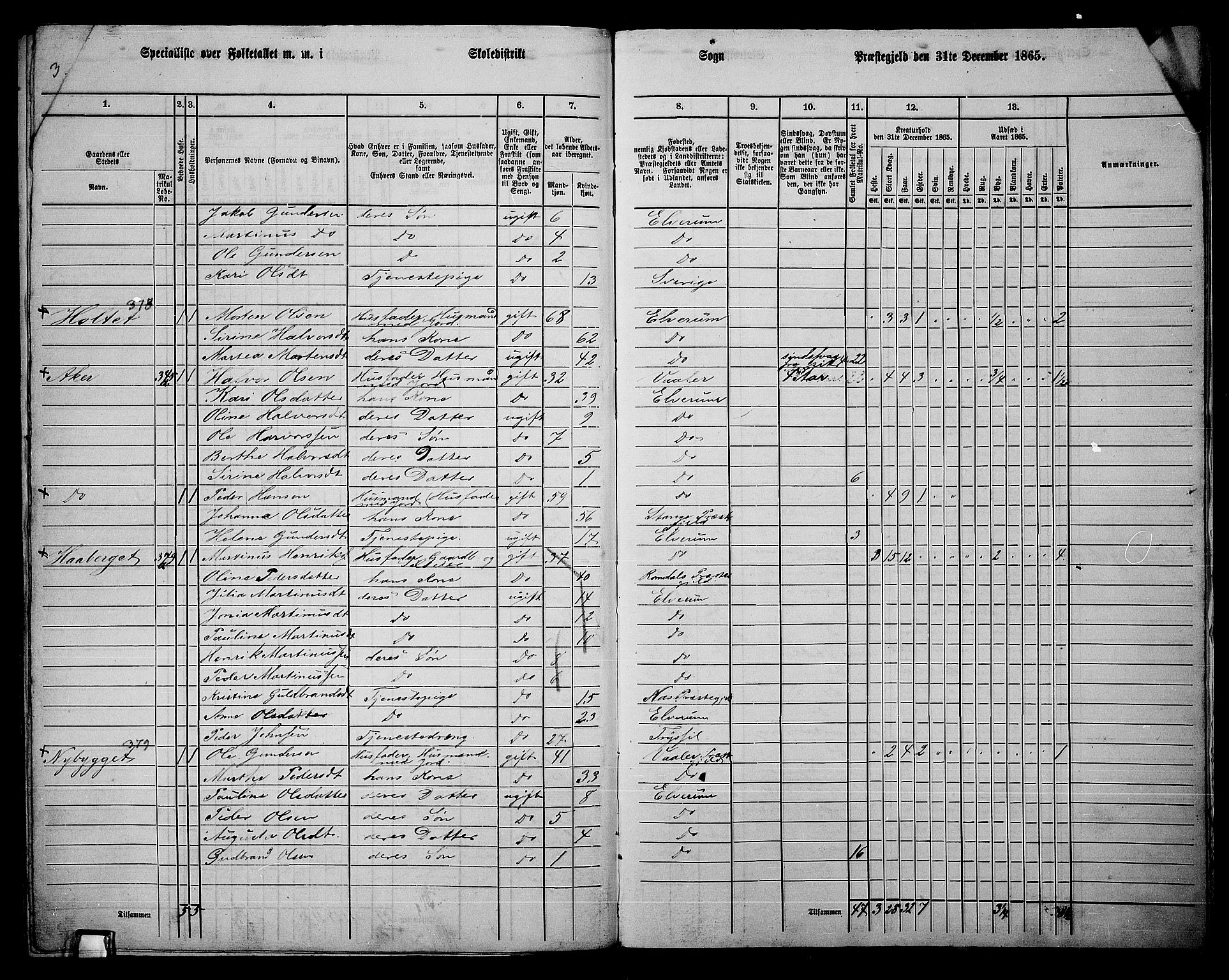 RA, 1865 census for Elverum, 1865, p. 258