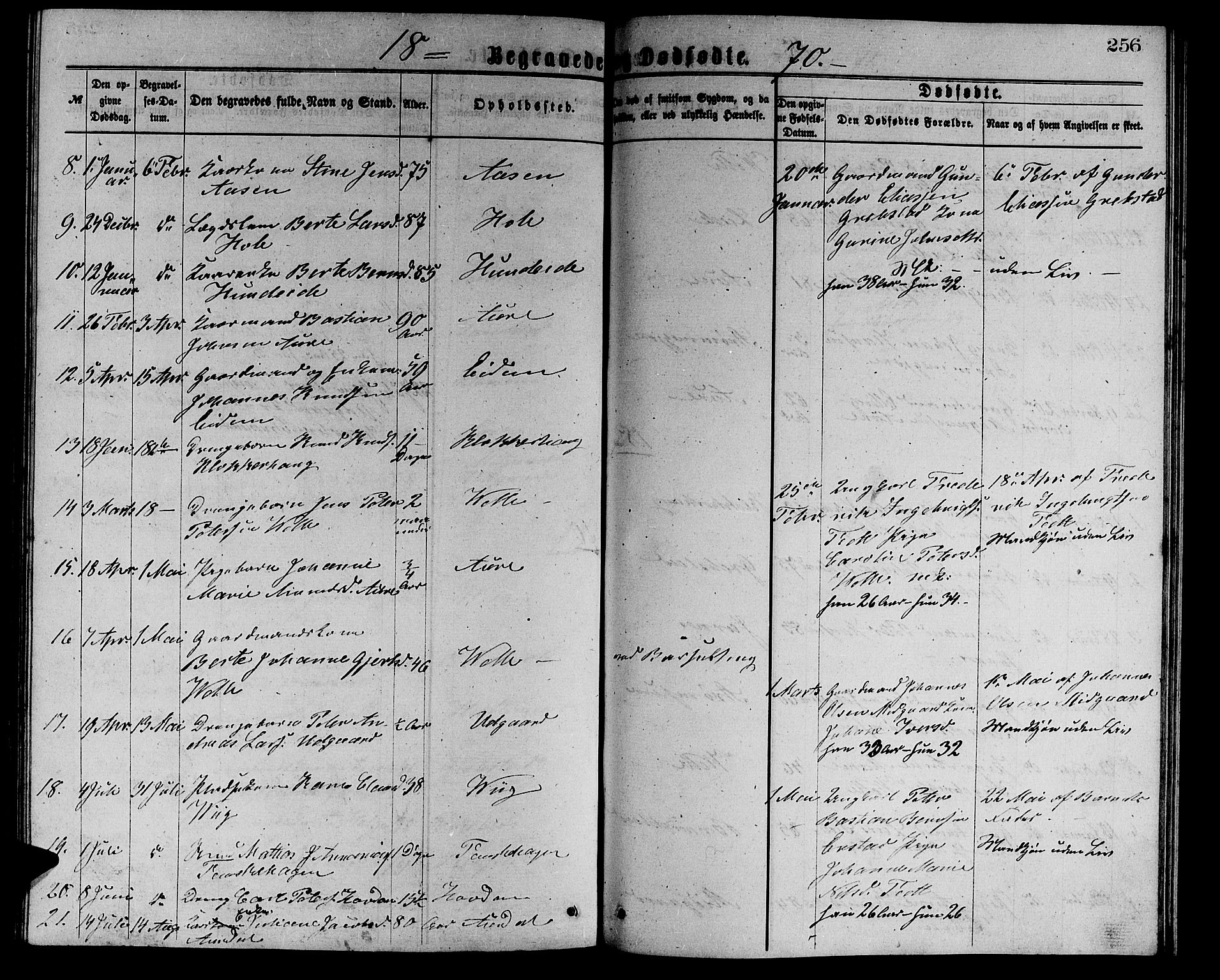 Ministerialprotokoller, klokkerbøker og fødselsregistre - Møre og Romsdal, AV/SAT-A-1454/523/L0338: Parish register (copy) no. 523C01, 1865-1877, p. 256