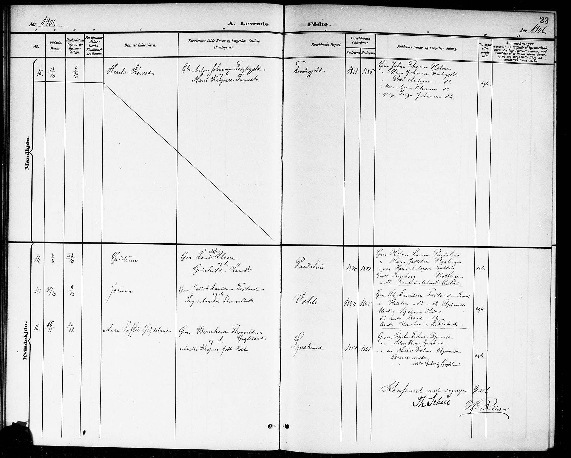Våler prestekontor Kirkebøker, SAO/A-11083/G/Ga/L0004: Parish register (copy) no. I 4, 1901-1914, p. 23
