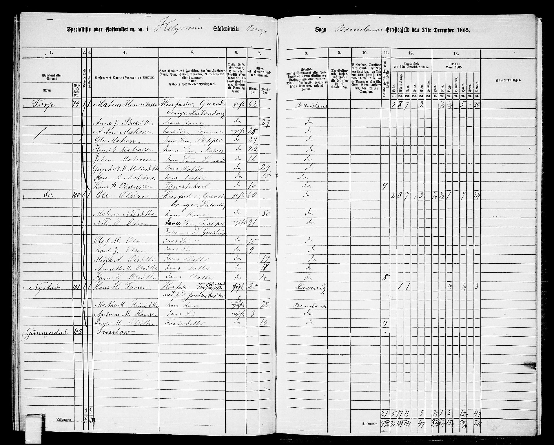 RA, 1865 census for Brunlanes, 1865, p. 179