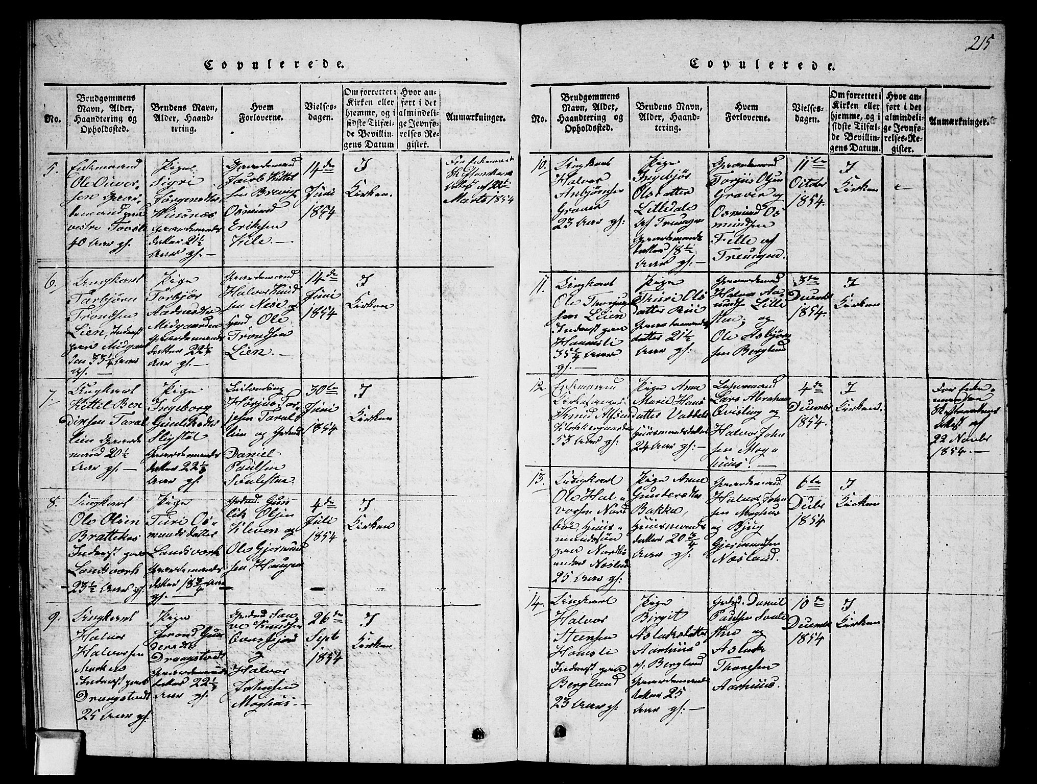 Fyresdal kirkebøker, SAKO/A-263/G/Ga/L0002: Parish register (copy) no. I 2, 1815-1857, p. 215