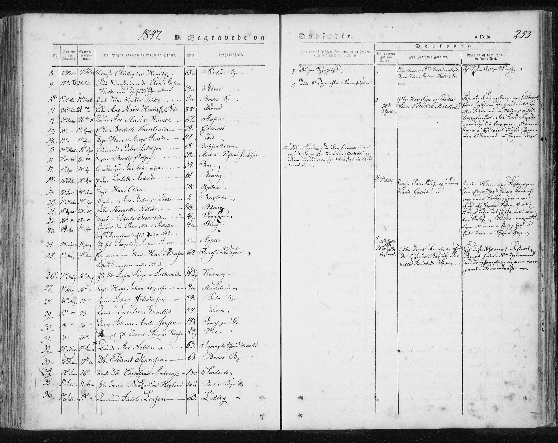 Ministerialprotokoller, klokkerbøker og fødselsregistre - Nordland, AV/SAT-A-1459/801/L0007: Parish register (official) no. 801A07, 1845-1863, p. 253